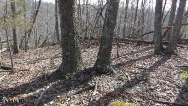 Hilham, TN 38568,Lot 1 Western Way