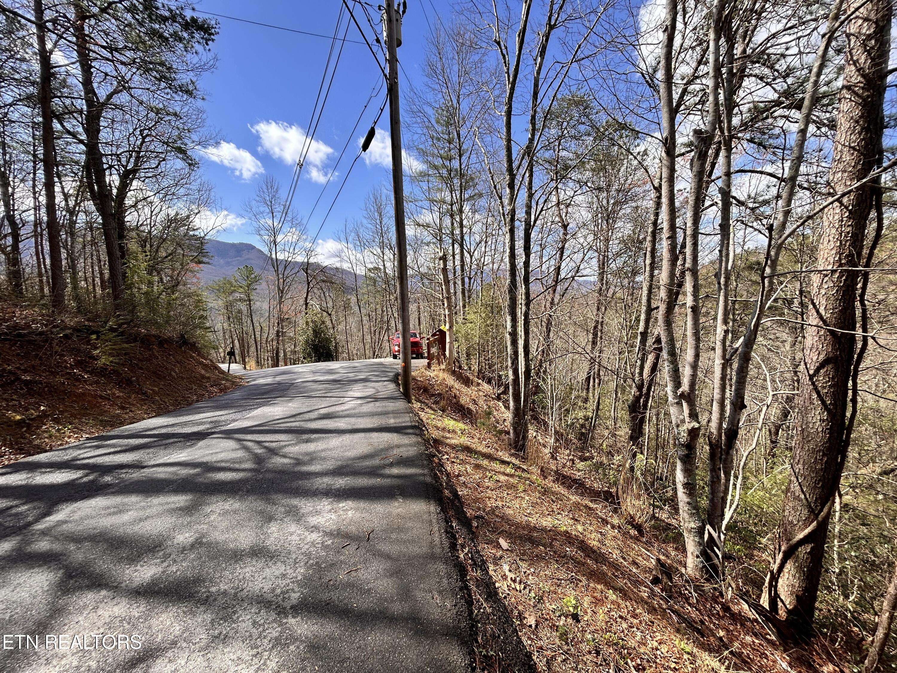 Gatlinburg, TN 37738,2 Tracts Deer Path Ln LN