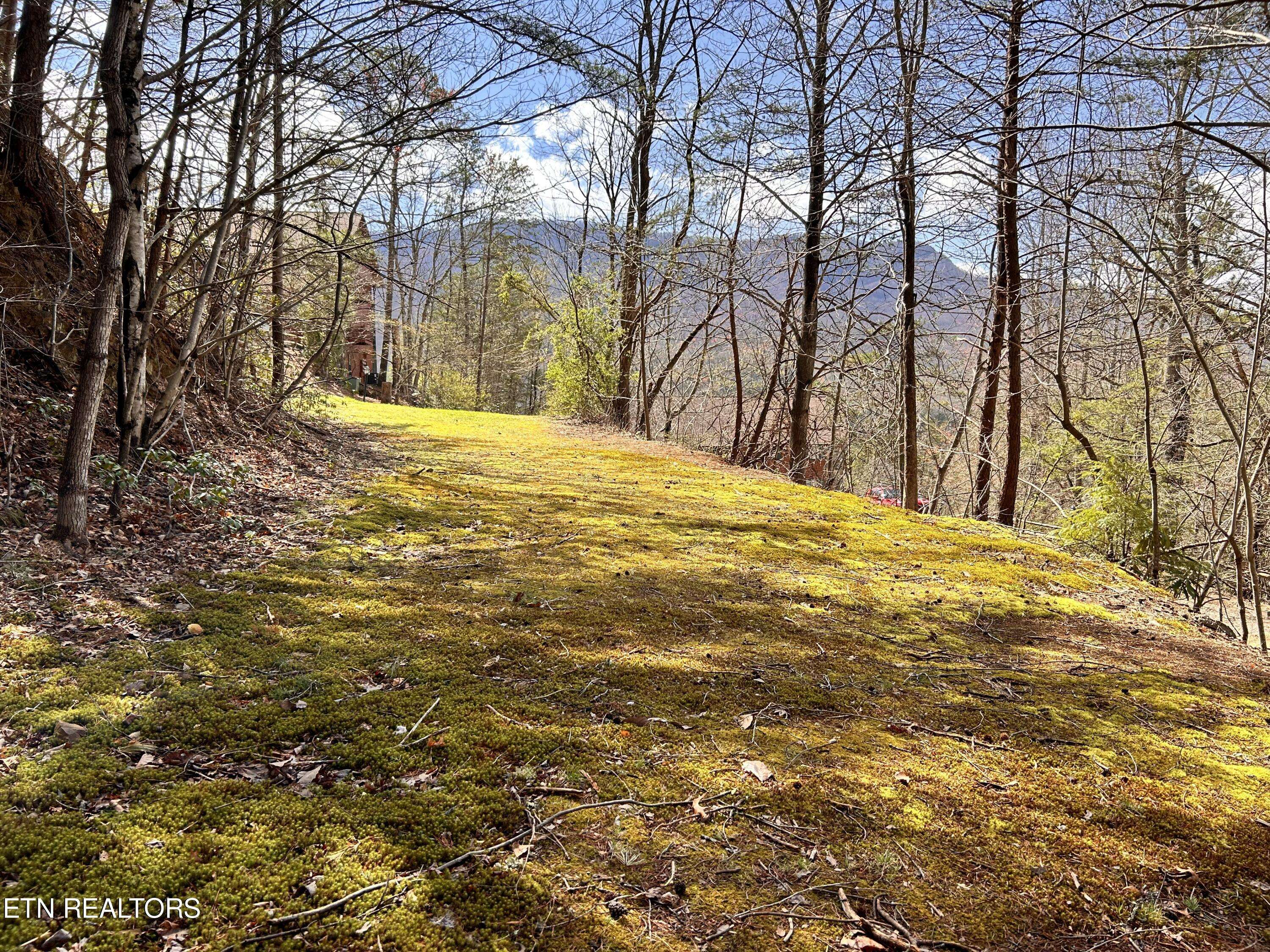 Gatlinburg, TN 37738,2 Tracts Deer Path Ln LN