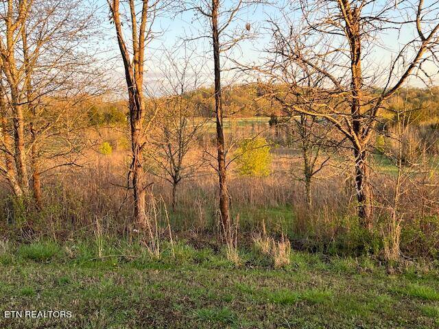 Rockwood, TN 37854,Water View DR