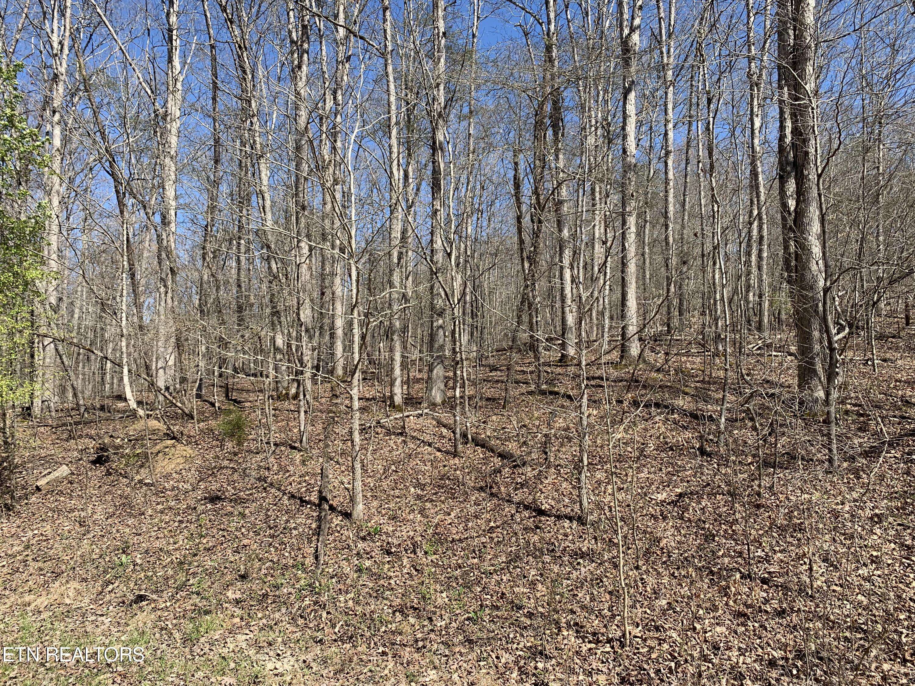 Kingston, TN 37763,Old Ridge Rd #Lot 43