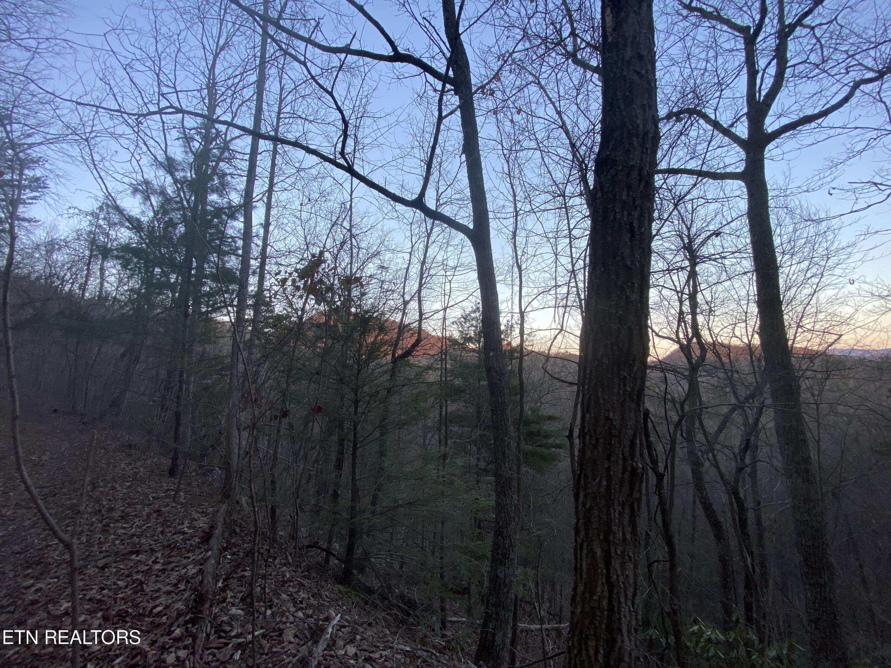 Sevierville, TN 37876,Lot 36 Elderberry DR