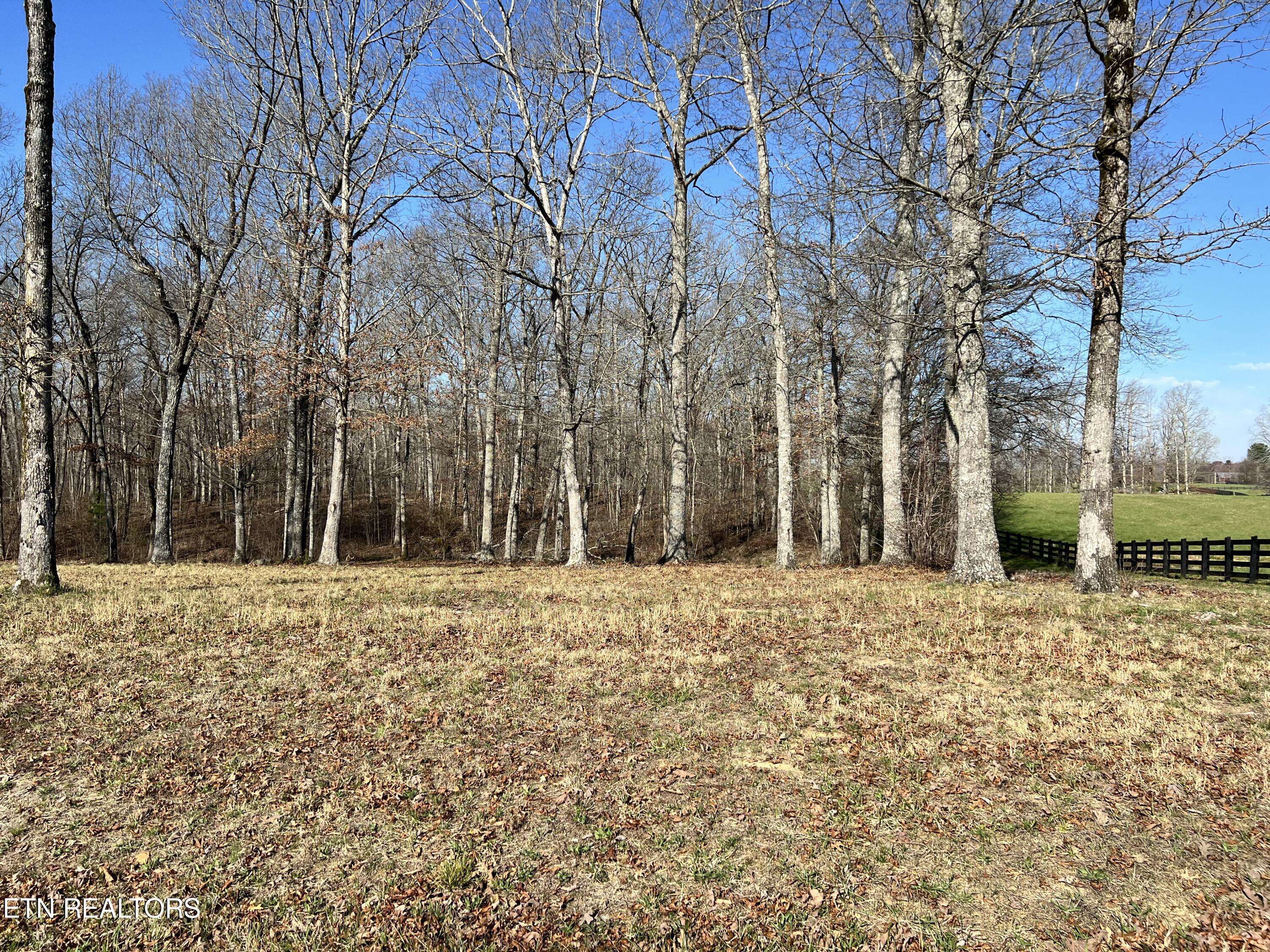 Crossville, TN 38571,Lot 8 Catoosa Ridge DR