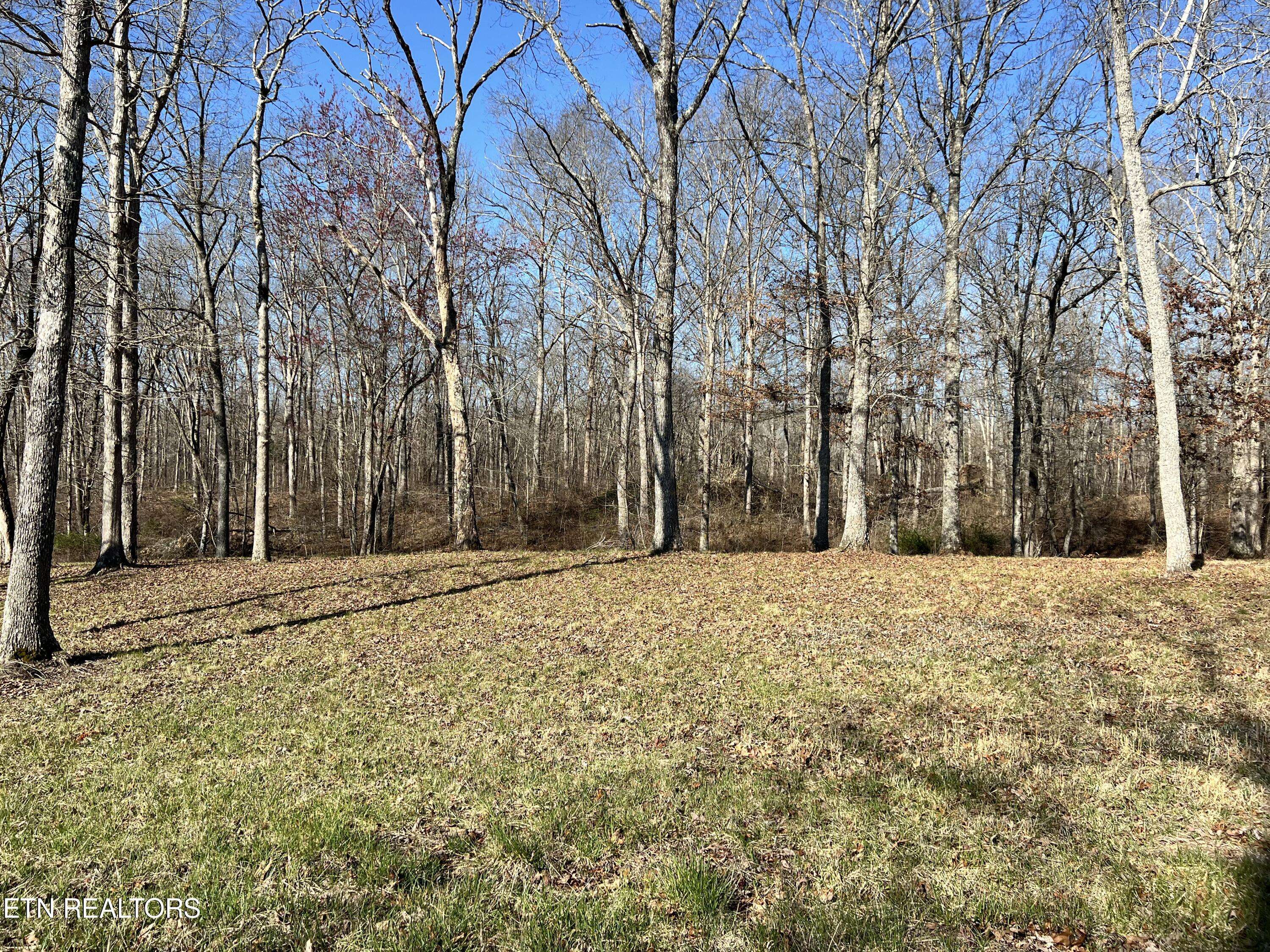 Crossville, TN 38571,Lot 9 Bluff View LOOP