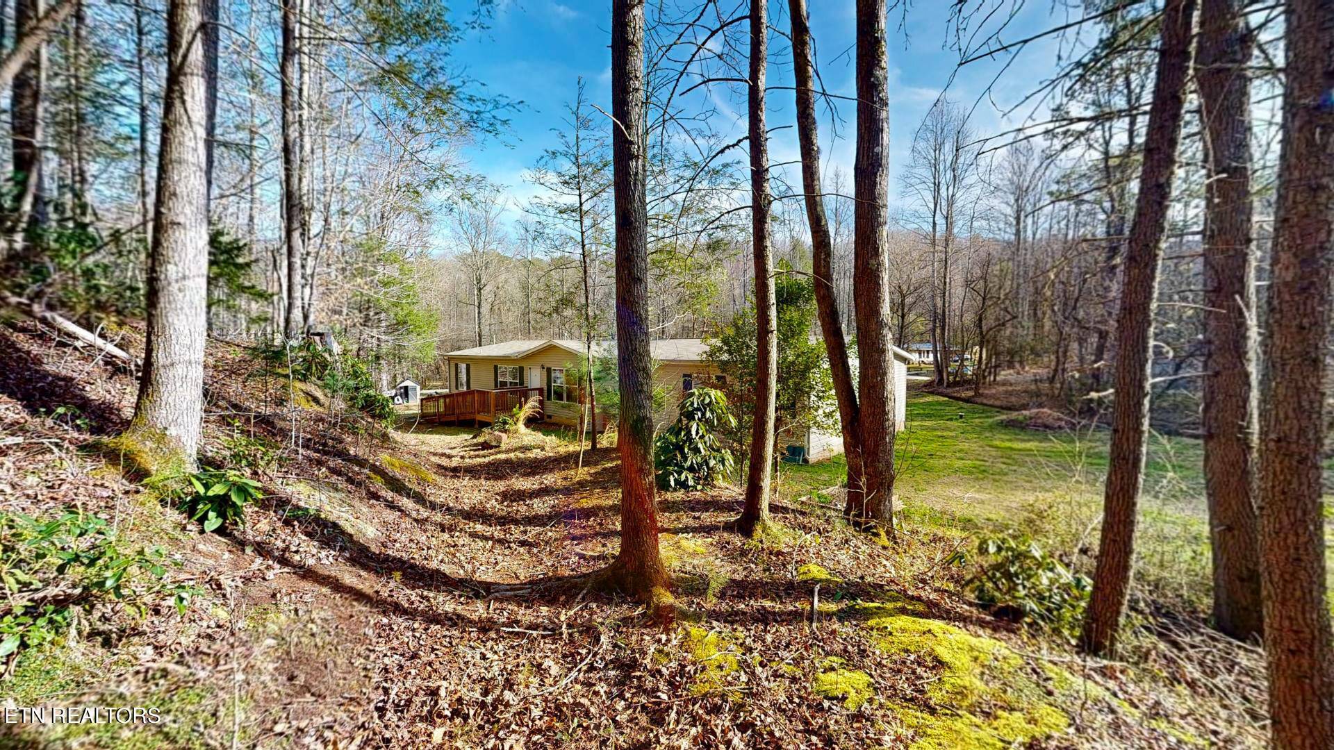 Cosby, TN 37722,5009 Mathis Branch Rd