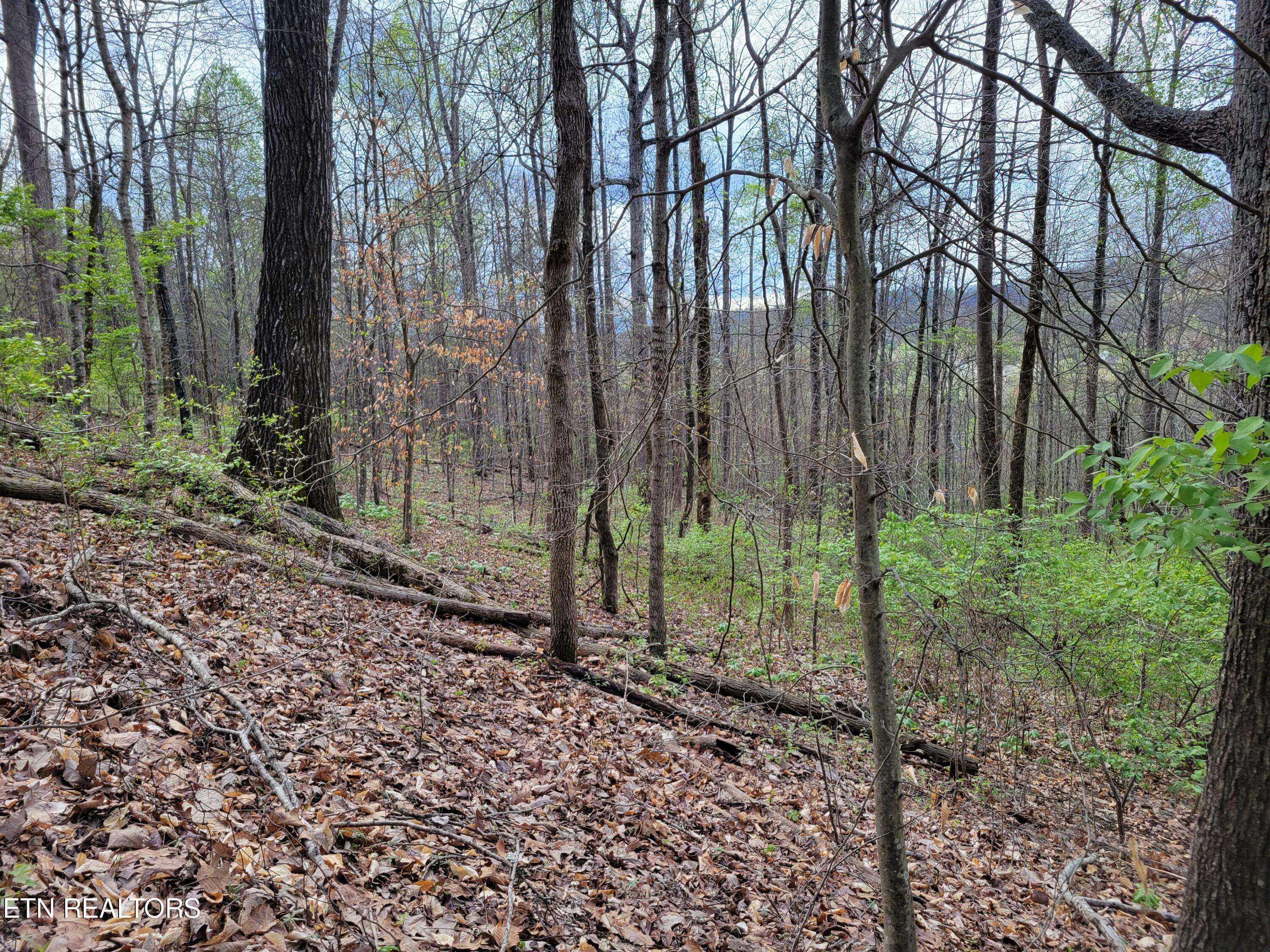 Knoxville, TN 37918,Lot 16 Rifle Range DR