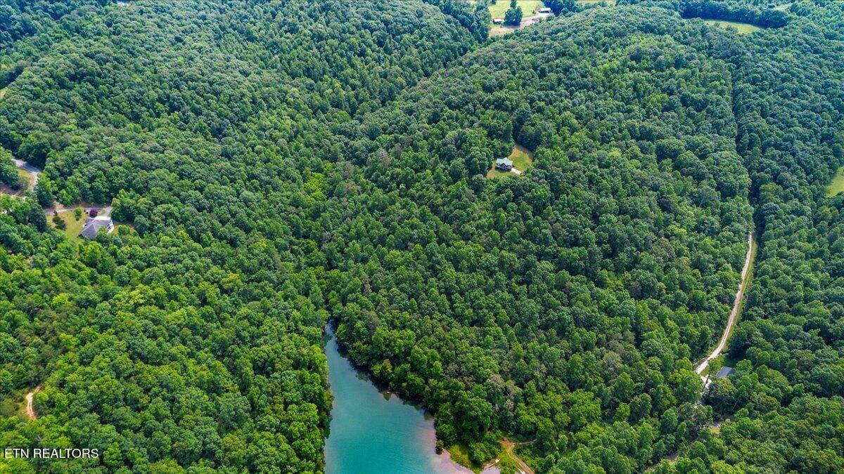 Lafollette, TN 37766,0 Carp LN