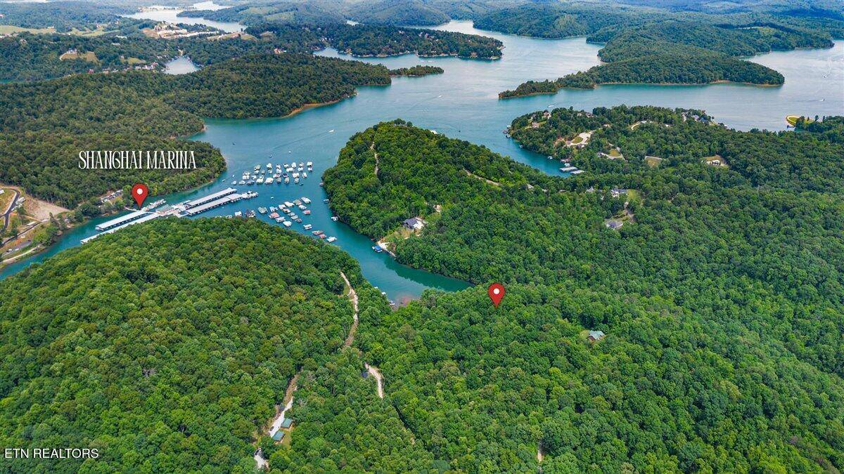 Lafollette, TN 37766,0 Carp LN