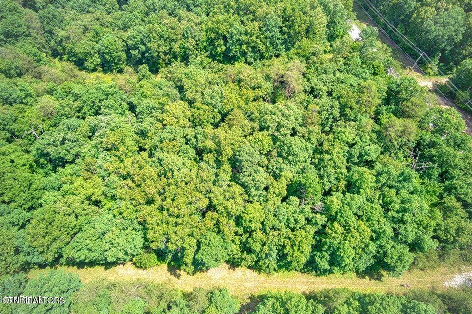 Crossville, TN 38558,106 Brunswick PL