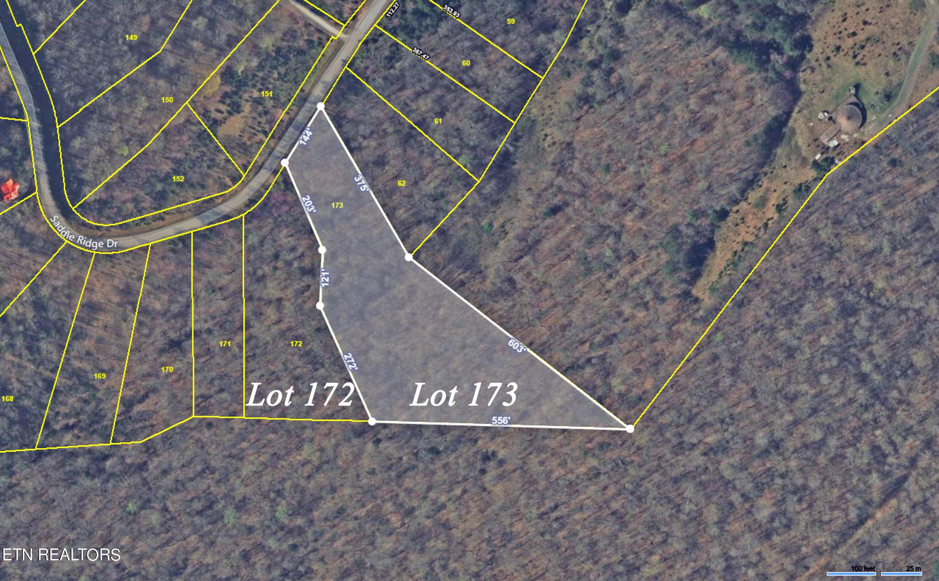 Speedwell, TN 37870,Lot 173 Saddleridge DR