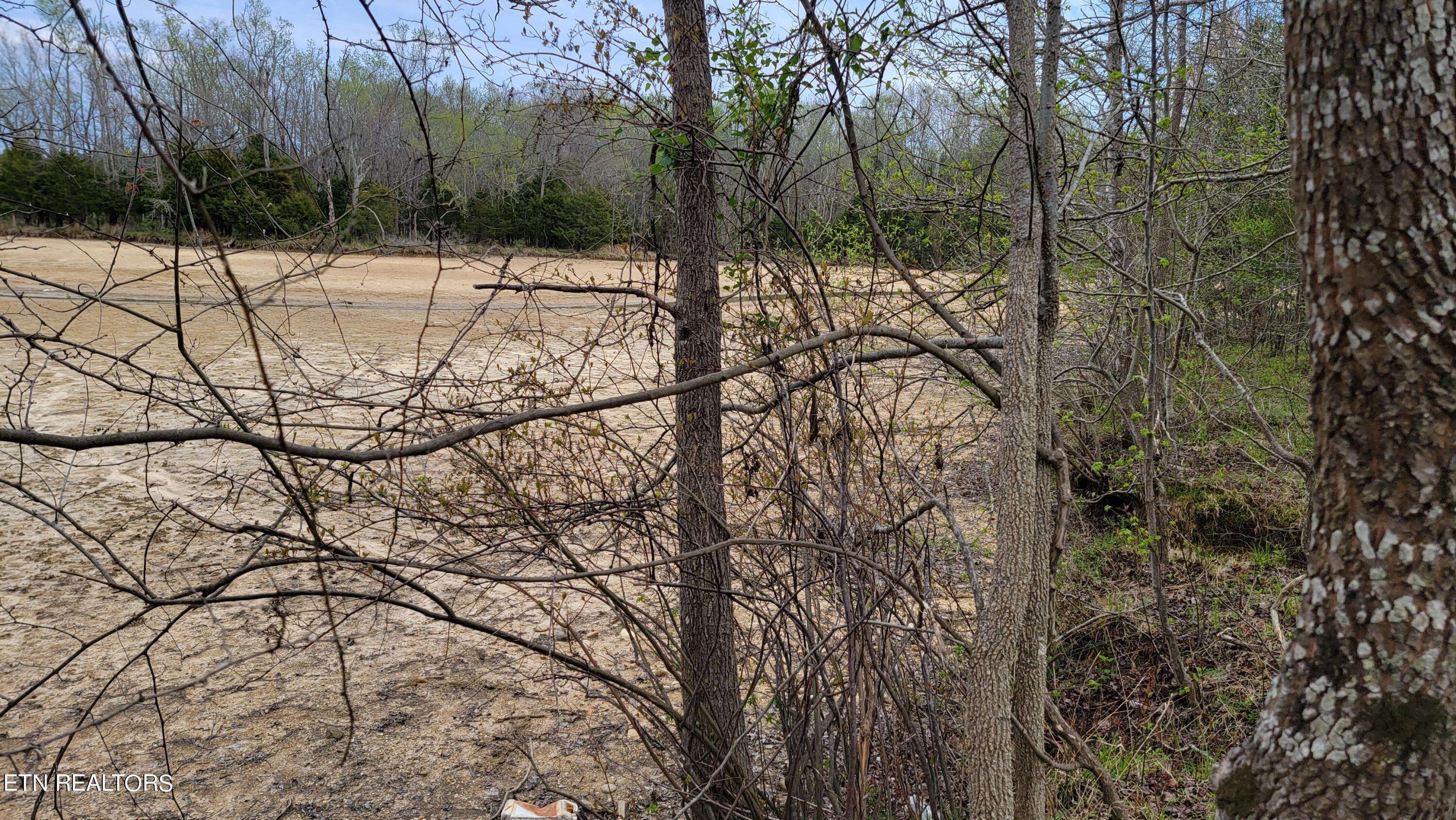 Rockwood, TN 37854,Lot 450 Pointe Vista DR