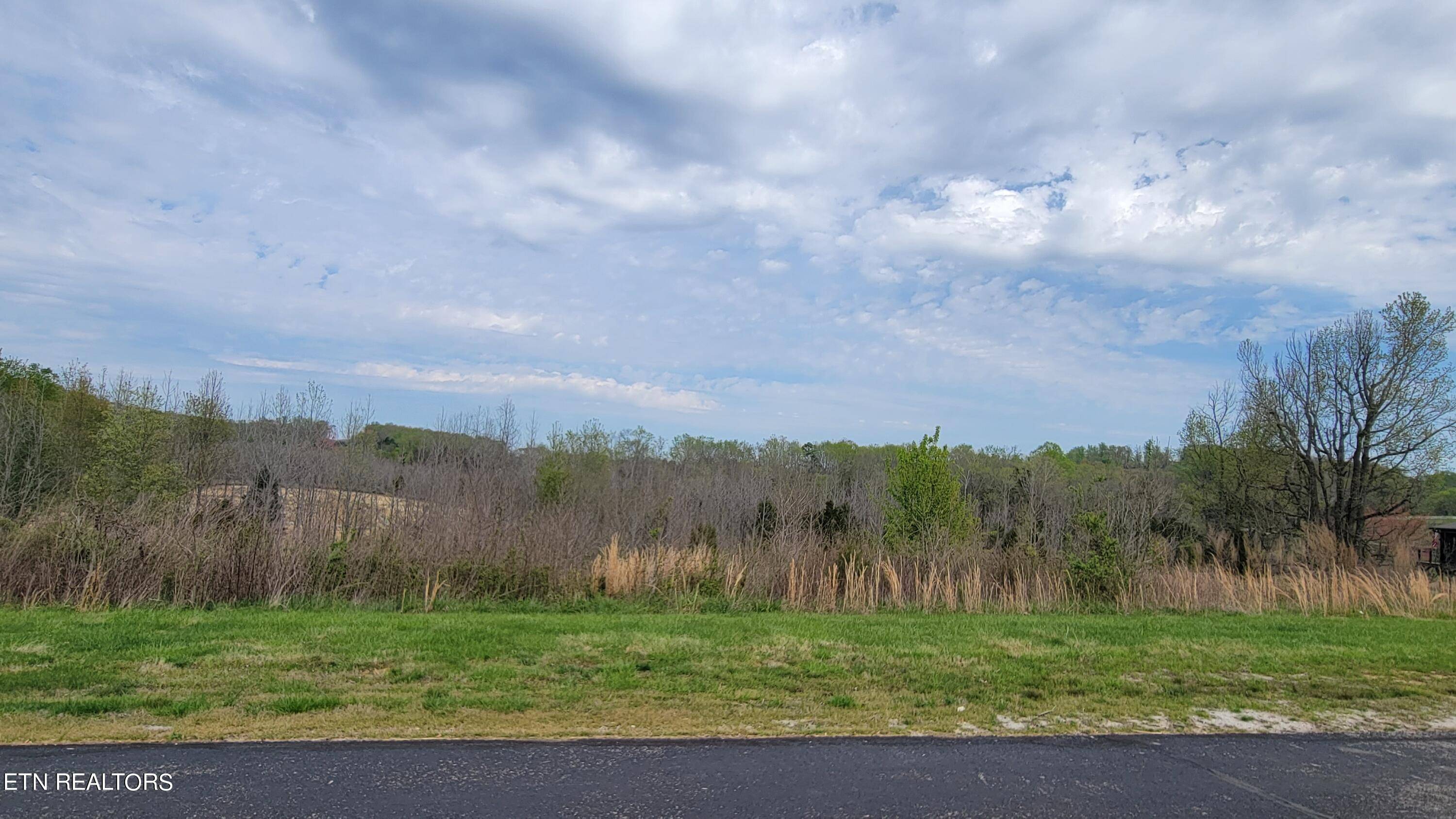 Rockwood, TN 37854,Lot 450 Pointe Vista DR