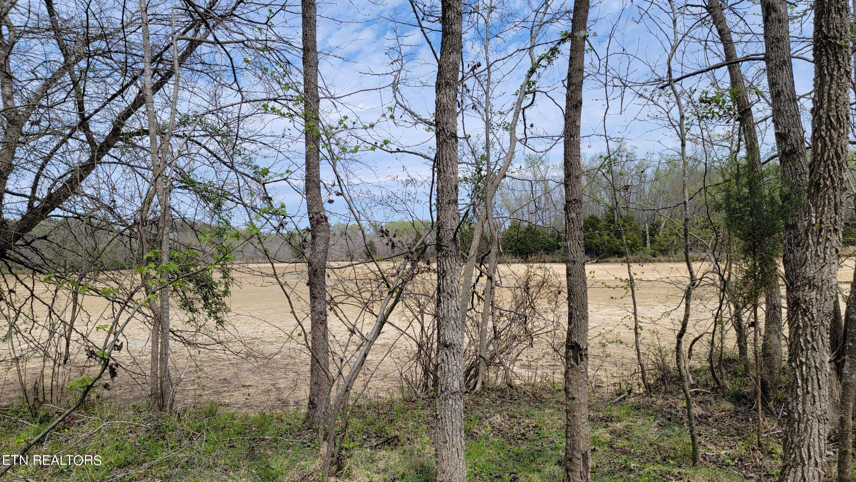 Rockwood, TN 37854,Lot 450 Pointe Vista DR