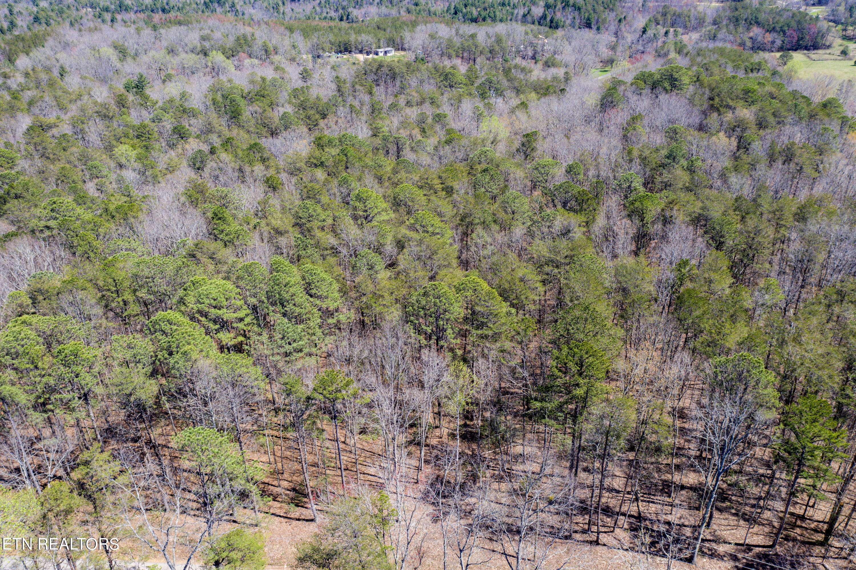 Tellico Plains, TN 37385,4.7 AC Old Furnace Road