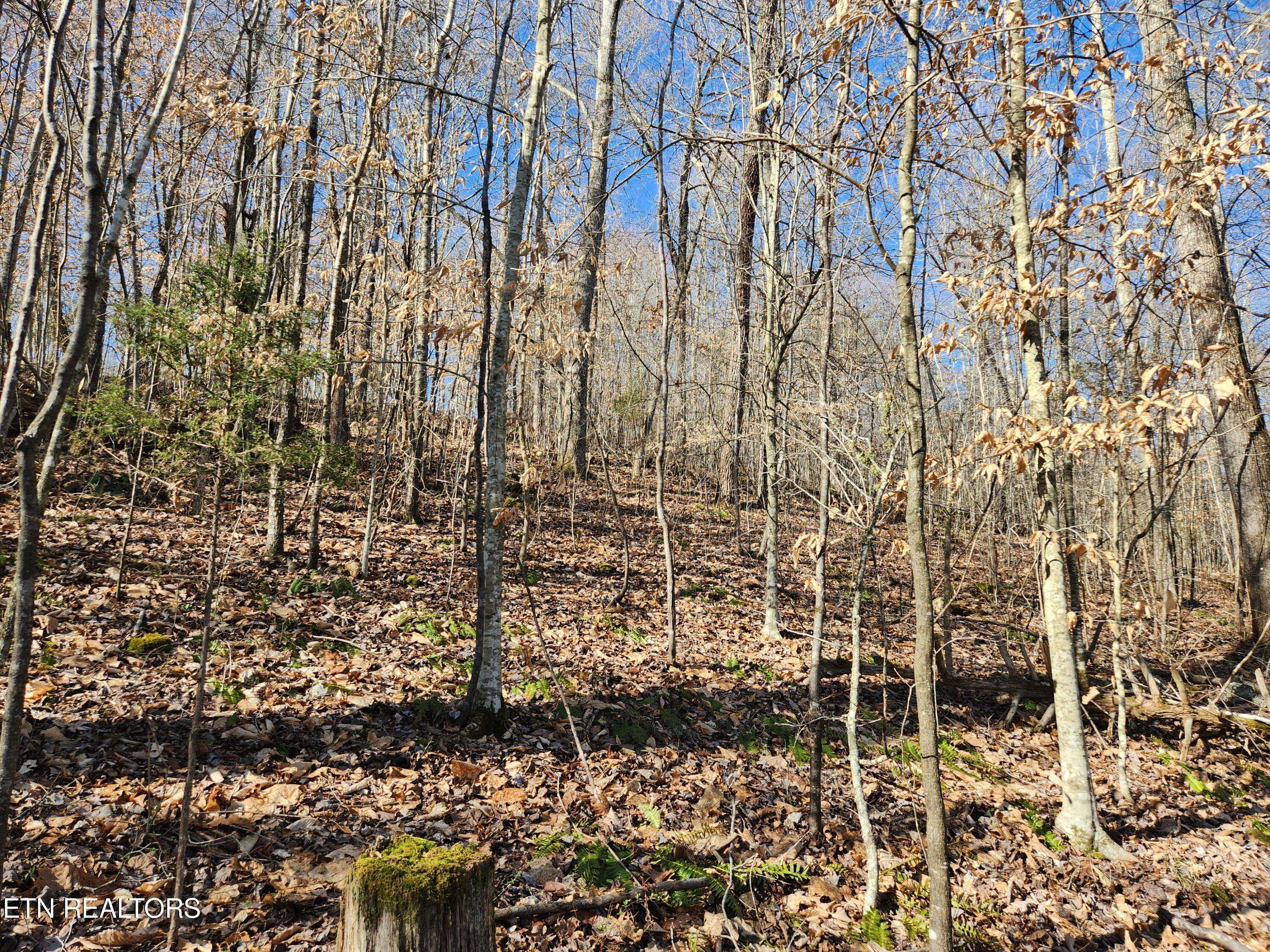 Lafollette, TN 37766,Lot 106 Laurel WAY