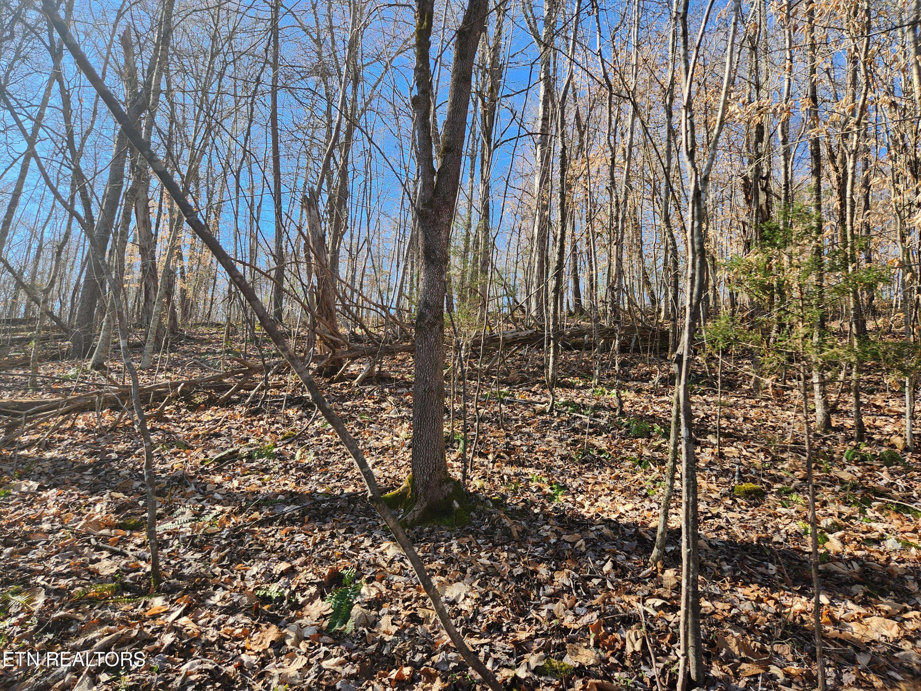 Lafollette, TN 37766,Lot 106 Laurel WAY