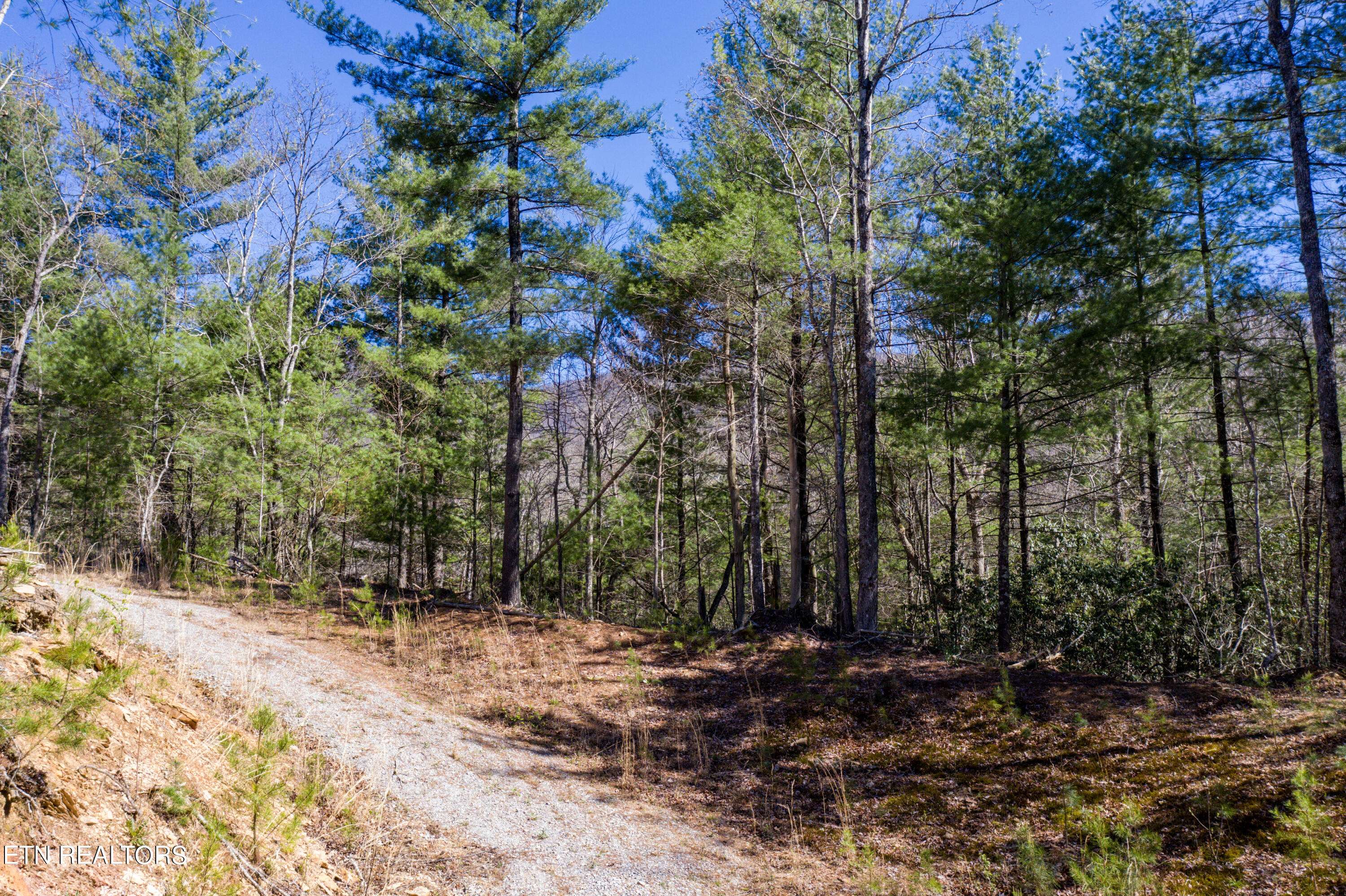 Tellico Plains, TN 37385,2.42 Smithfield Rd