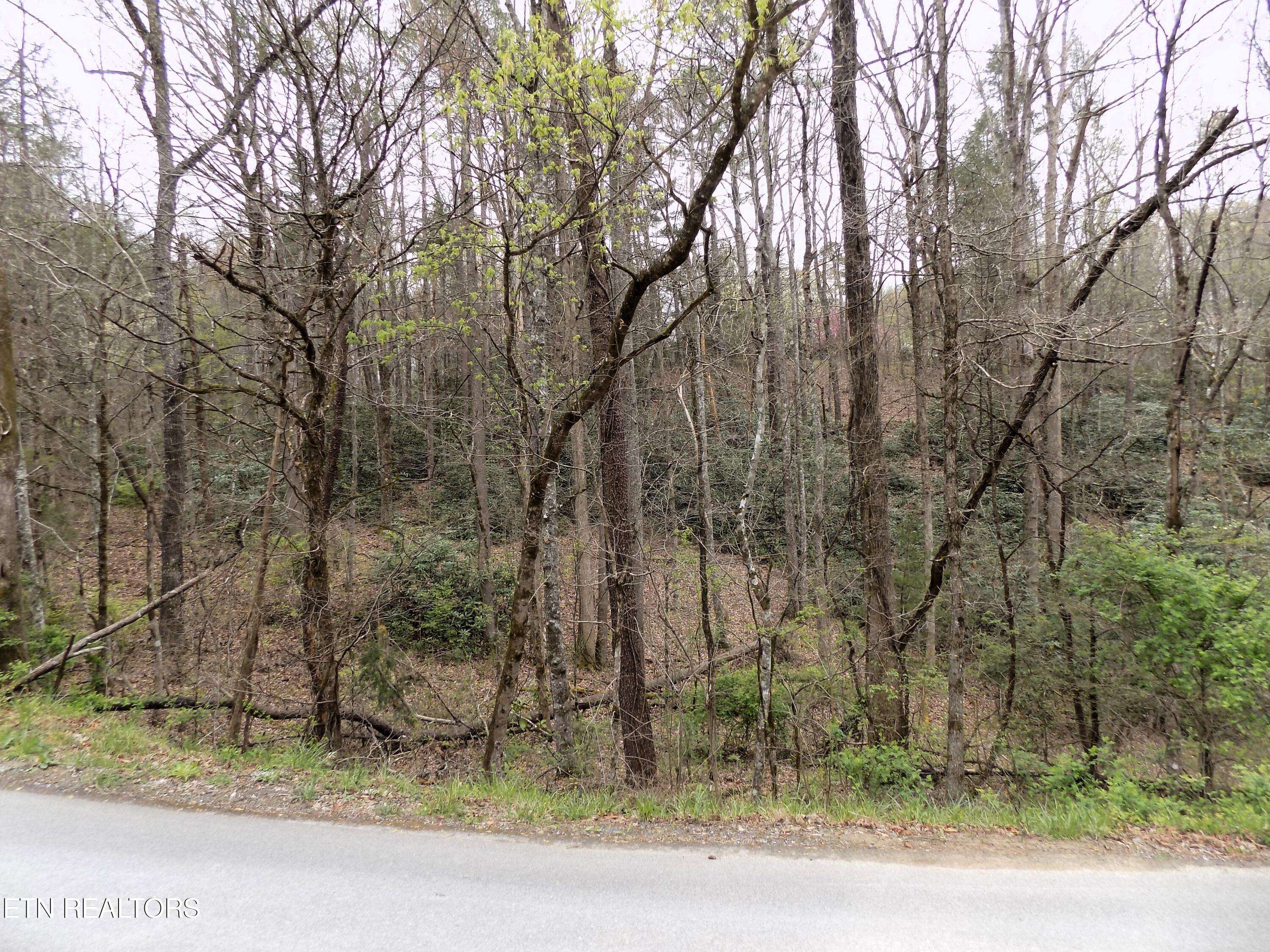 Cosby, TN 37722,Lot 11 Deerfoot Rd