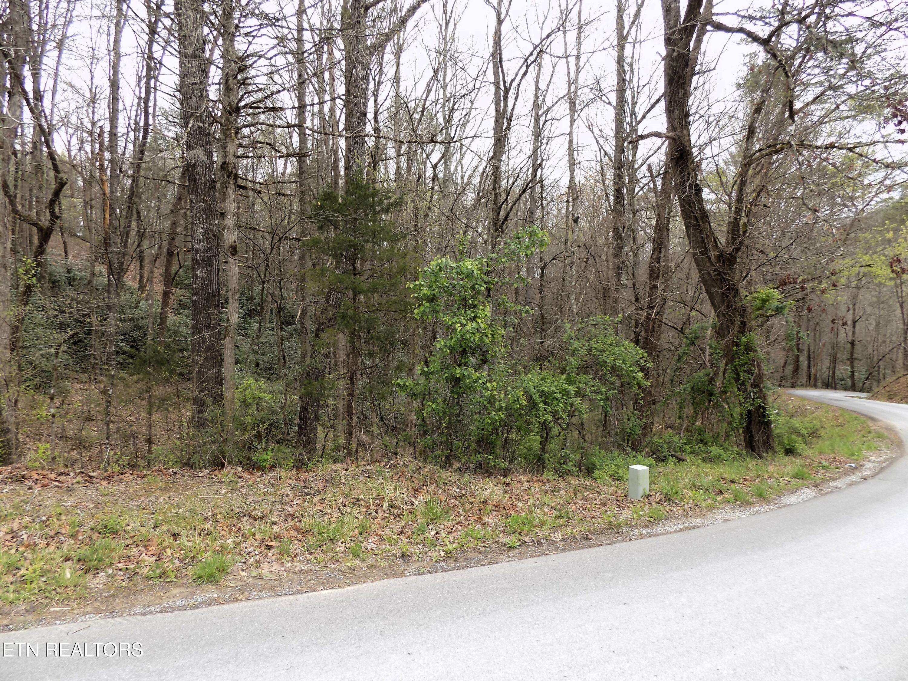 Cosby, TN 37722,Lot 11 Deerfoot Rd