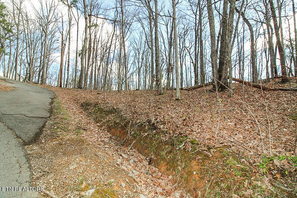 Gatlinburg, TN 37738,Lot 57 Foothills DR