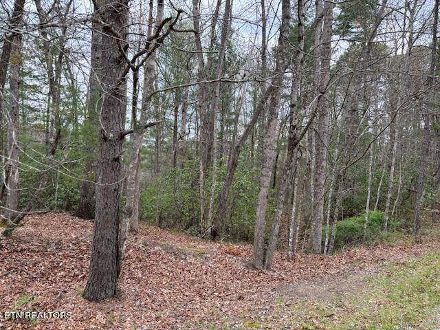 Tallassee, TN 37878,Lot 13 Flats Rd