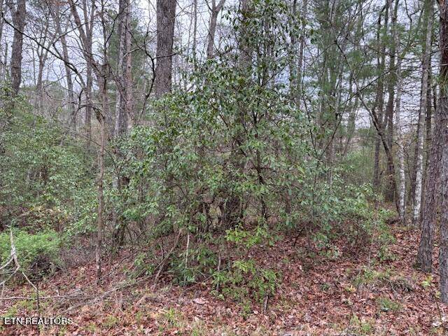 Tallassee, TN 37878,Lot 13 Flats Rd