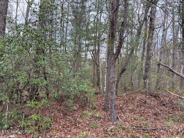 Tallassee, TN 37878,Lot 13 Flats Rd