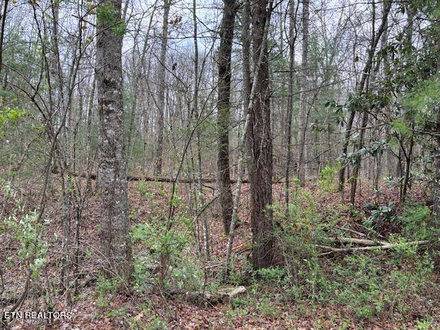 Tallassee, TN 37878,Lot 14 Flats Rd