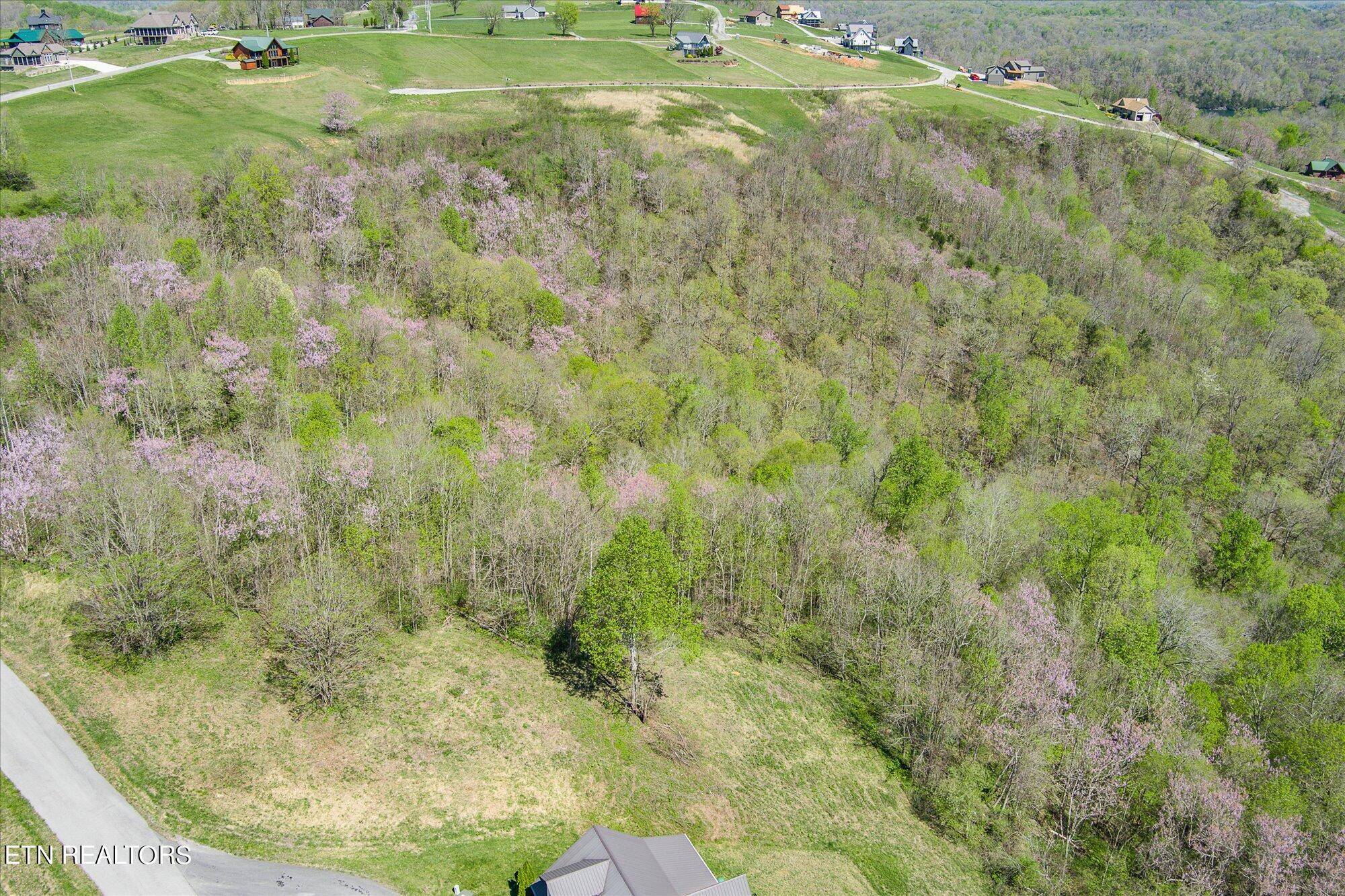 Hilham, TN 38568,57A Goose Road