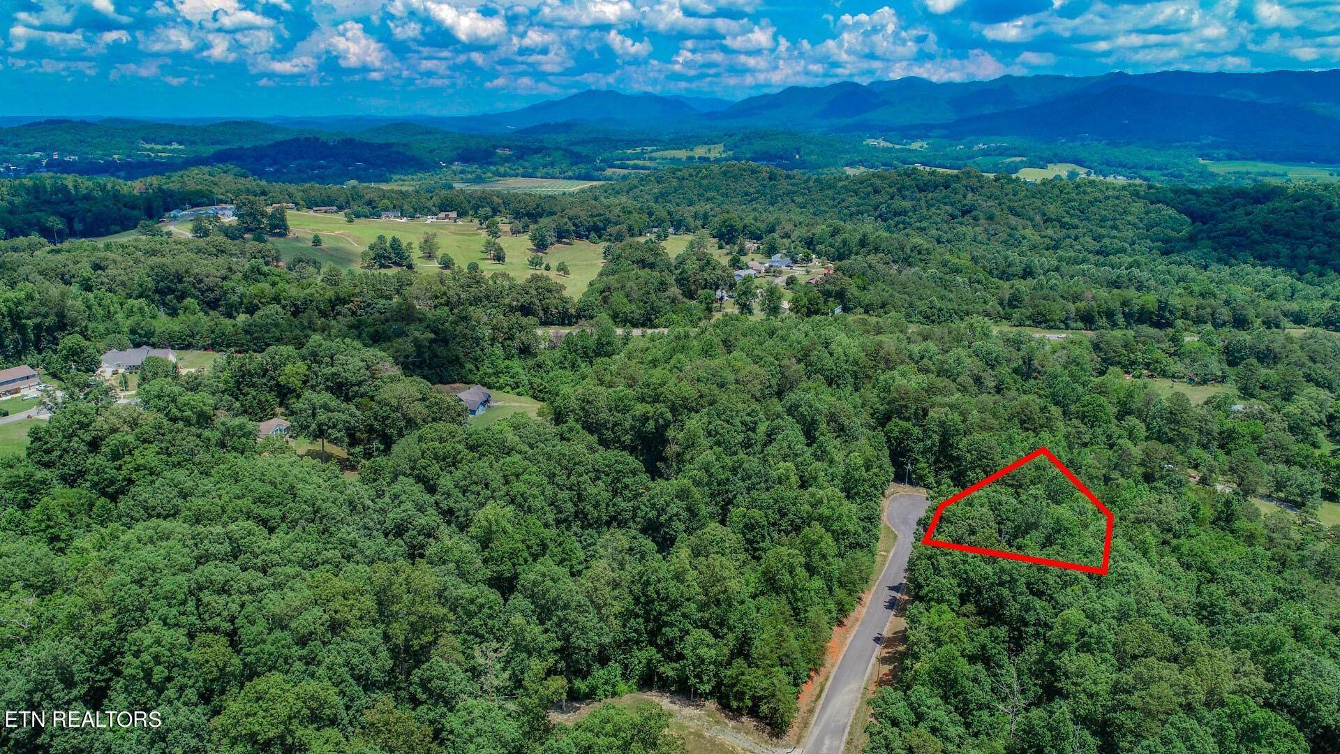 Newport, TN 37821,Lot 13 Timber Trail