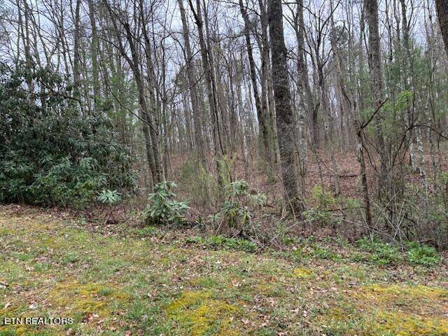 Tallassee, TN 37878,Lot 17 Bear Rd