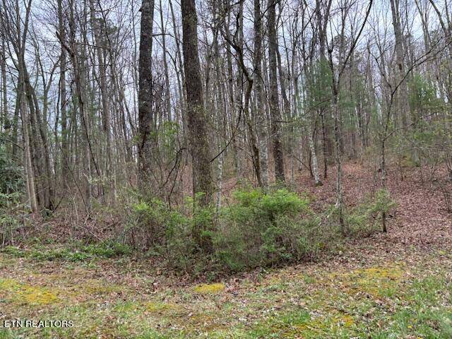 Tallassee, TN 37878,Lot 17 Bear Rd