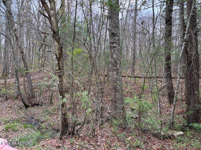 Tallassee, TN 37878,Lot 17 Bear Rd