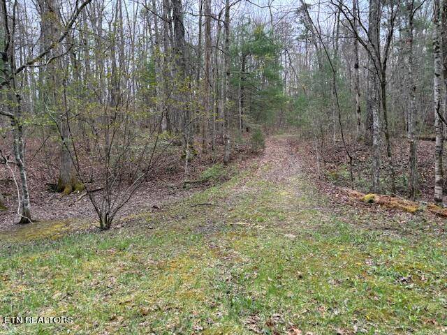 Tallassee, TN 37878,Lot 18 Bear Rd