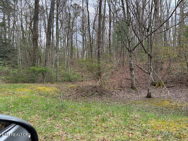 Tallassee, TN 37878,Lot 19 Bear Rd