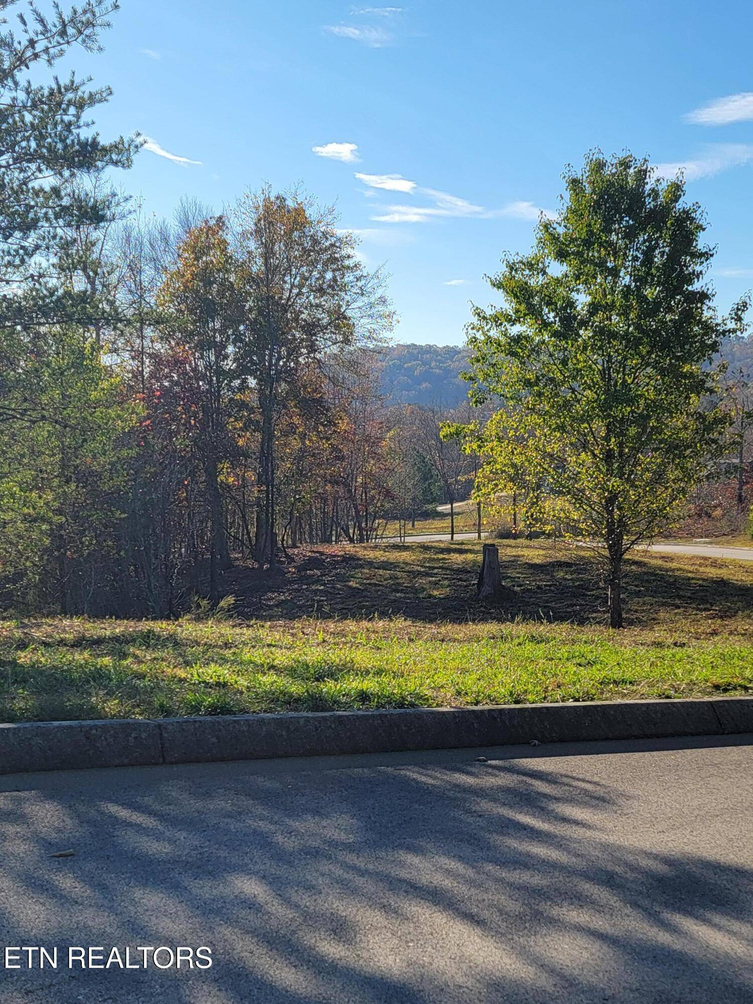 Harriman, TN 37748,308 Caney View DR