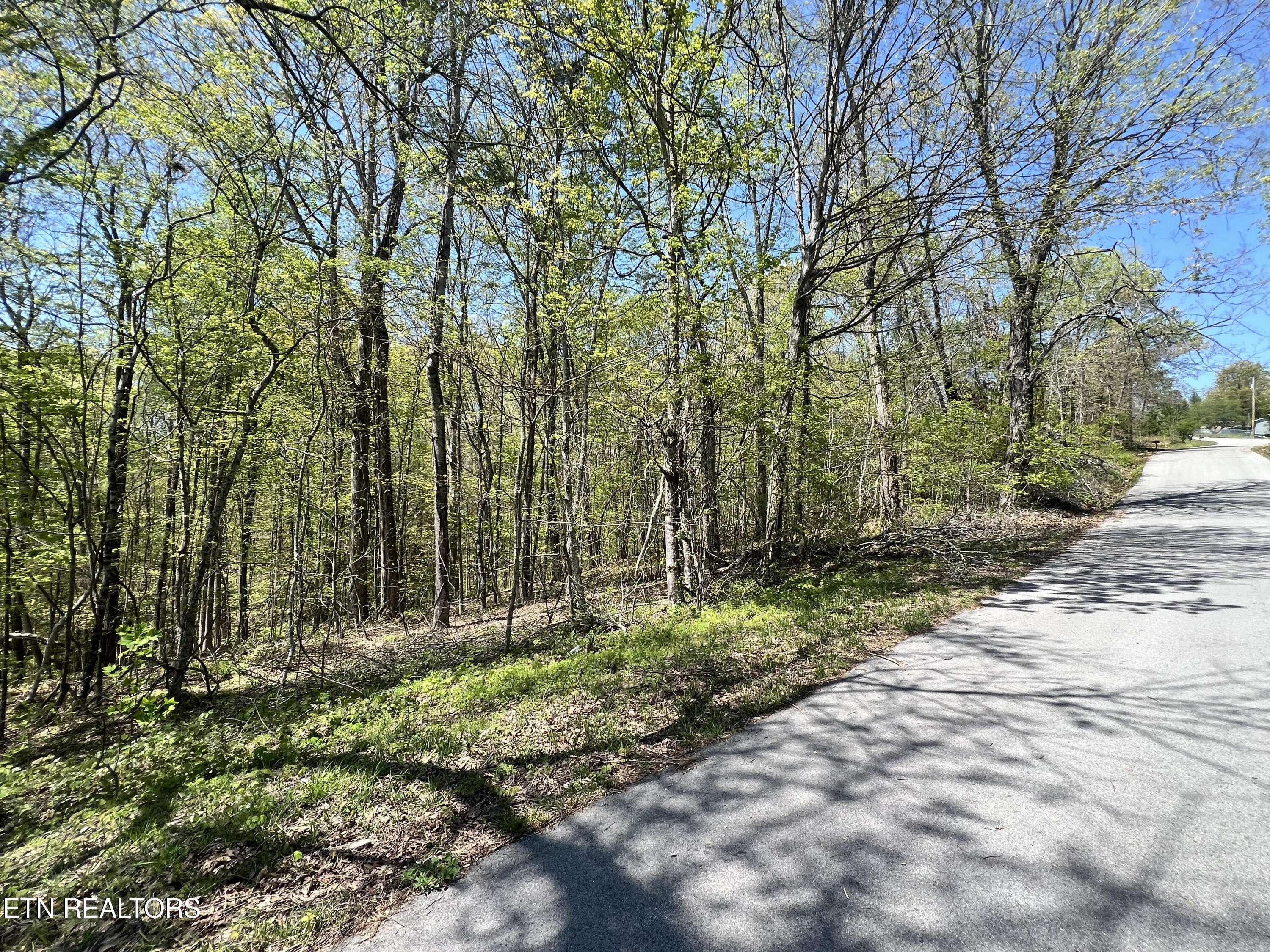 Harriman, TN 37748,235 Clear Springs Rd