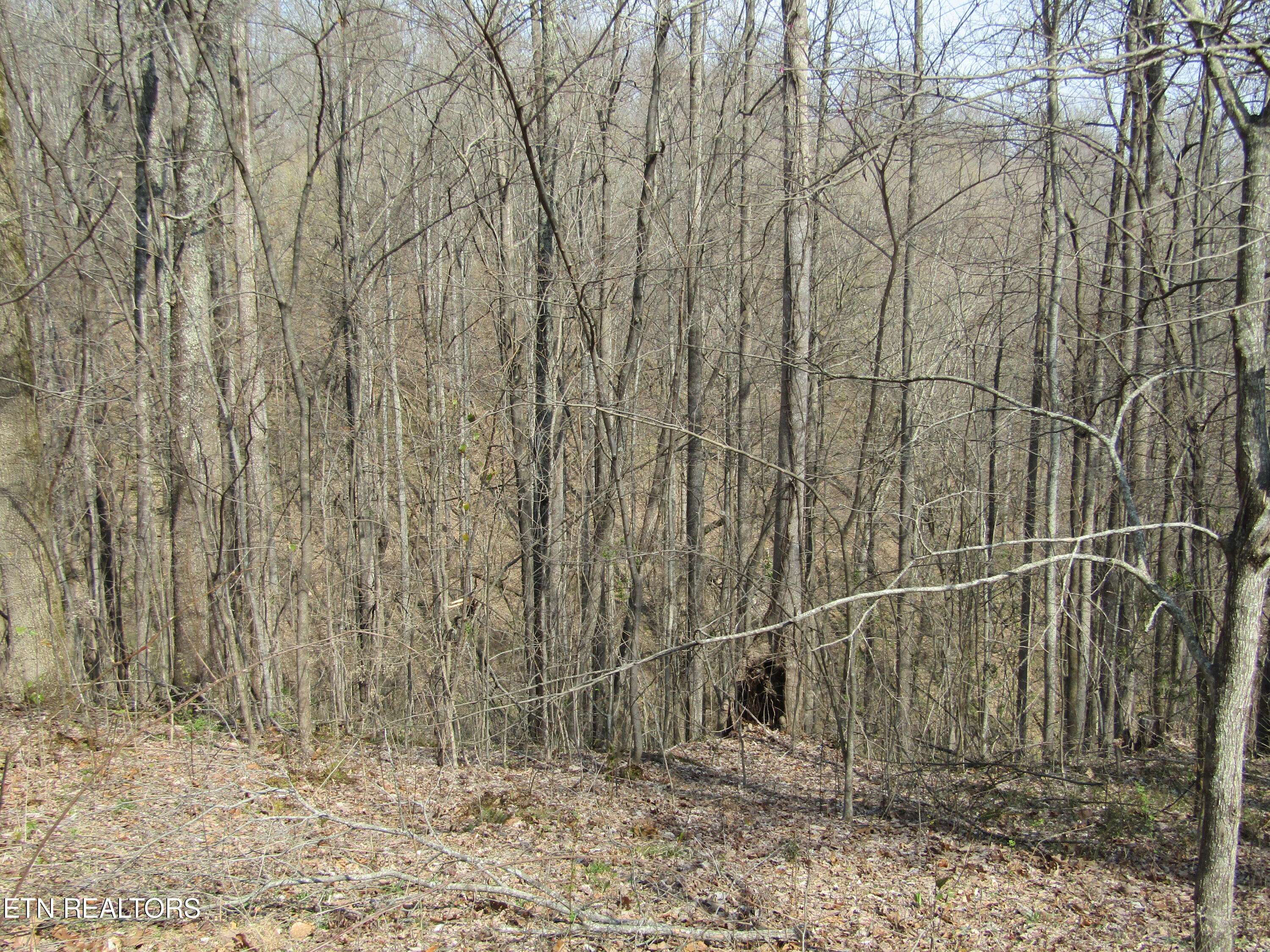 Smithville, TN 37166,4.71ac Hunters S Landing Lane