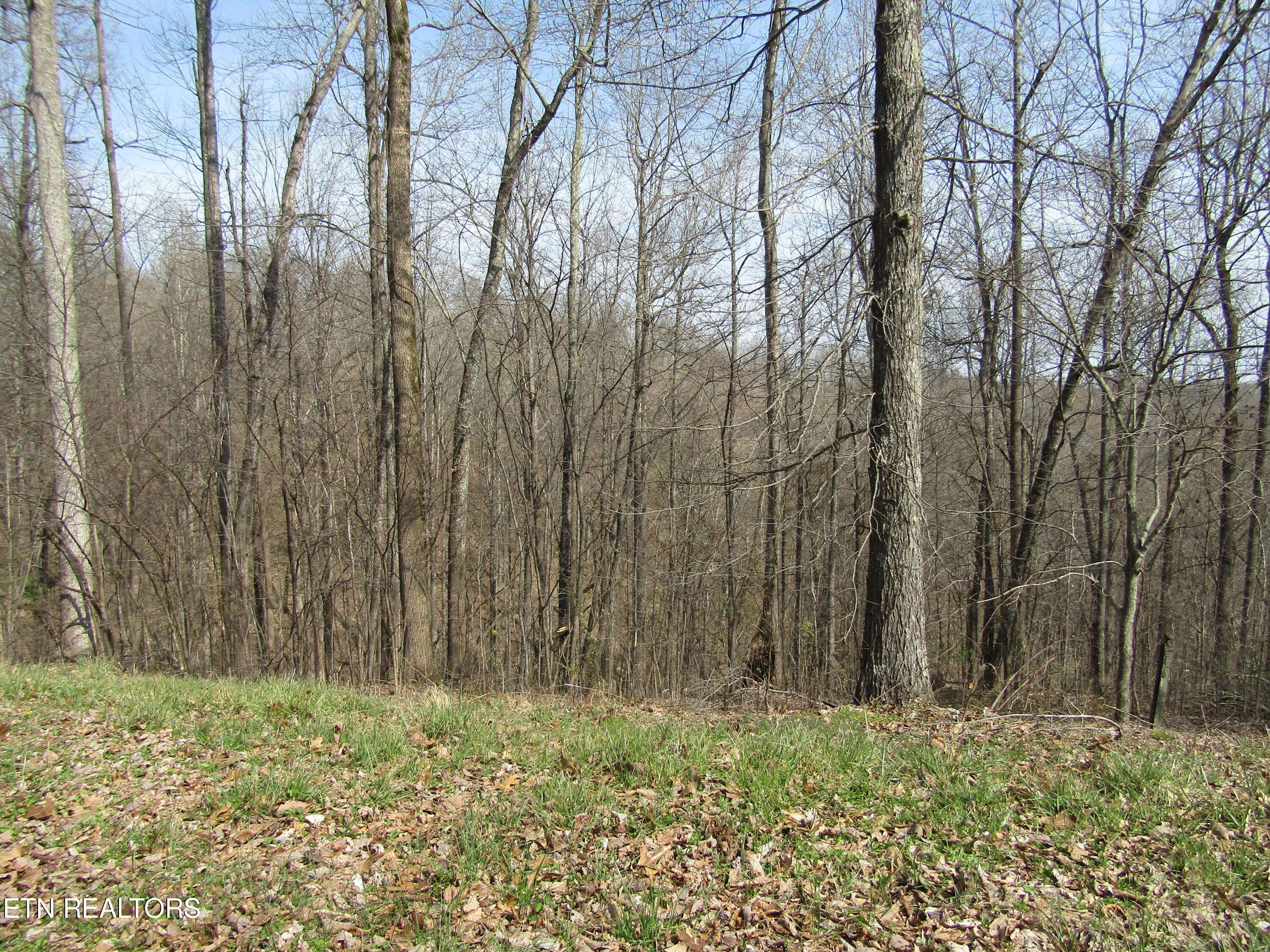 Smithville, TN 37166,4.71ac Hunters S Landing Lane