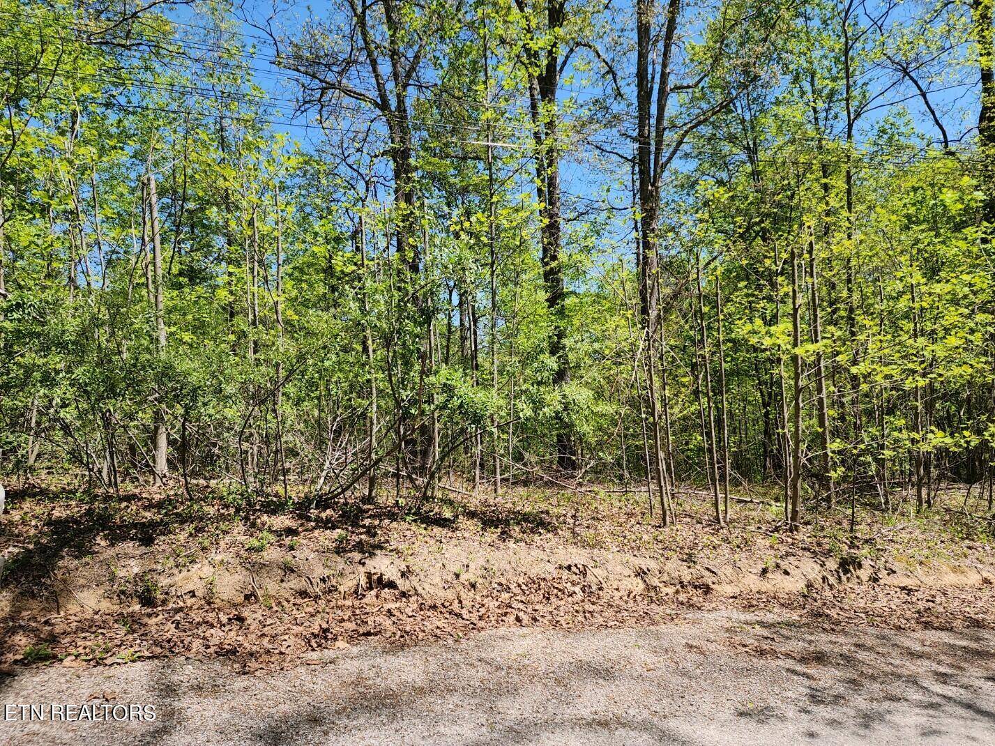 Lafollette, TN 37766,Big Creek LN