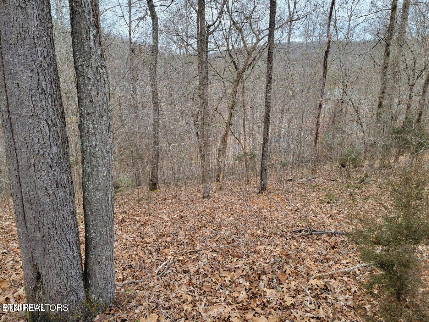 Lafollette, TN 37766,Big Creek LN