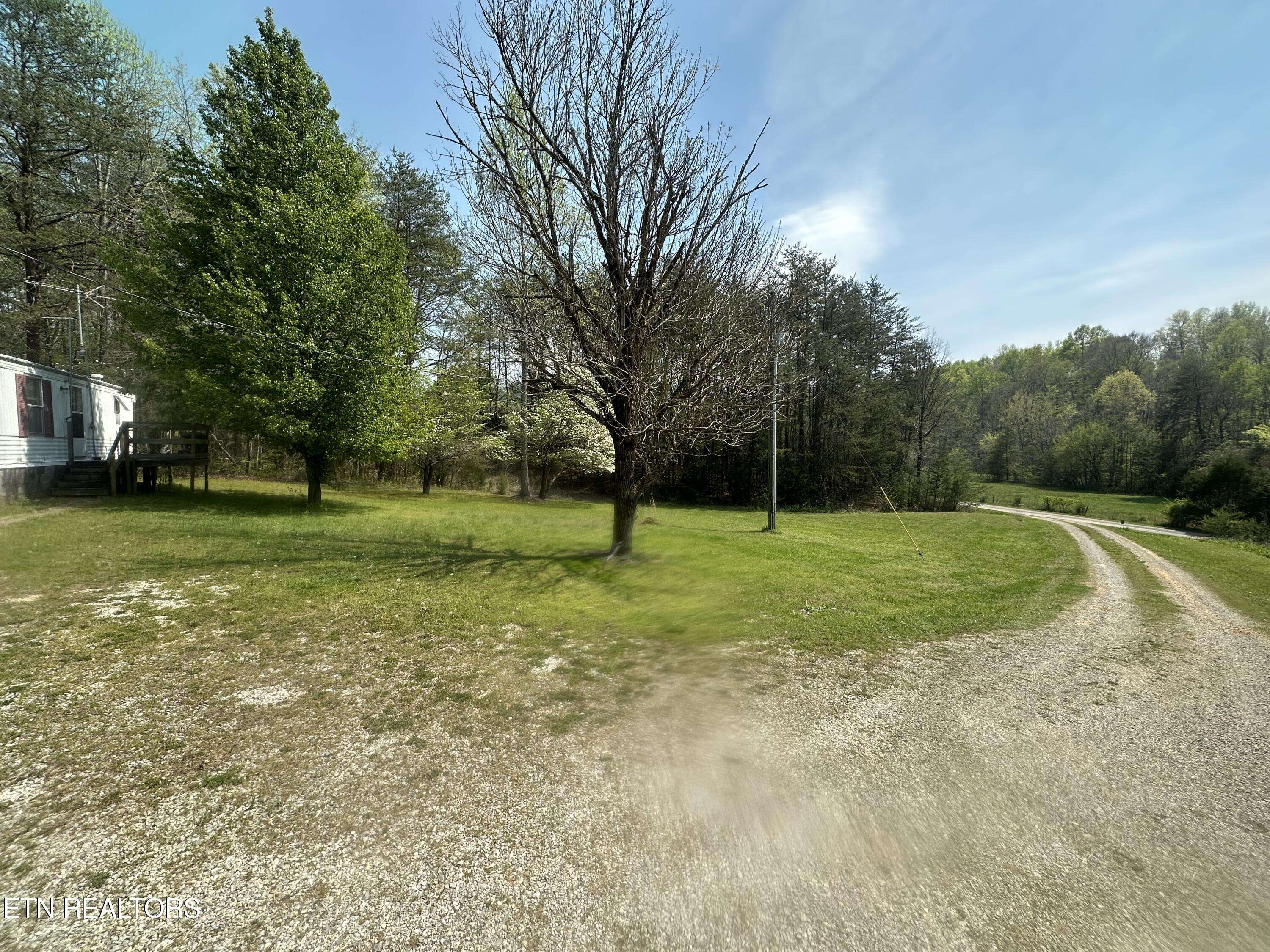 Tellico Plains, TN 37385,146 Williams Rd