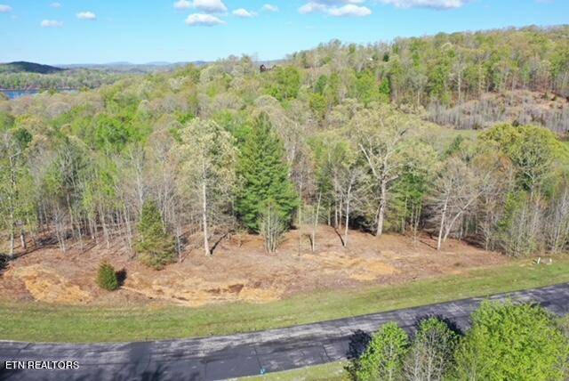 Rockwood, TN 37854,Water View DR