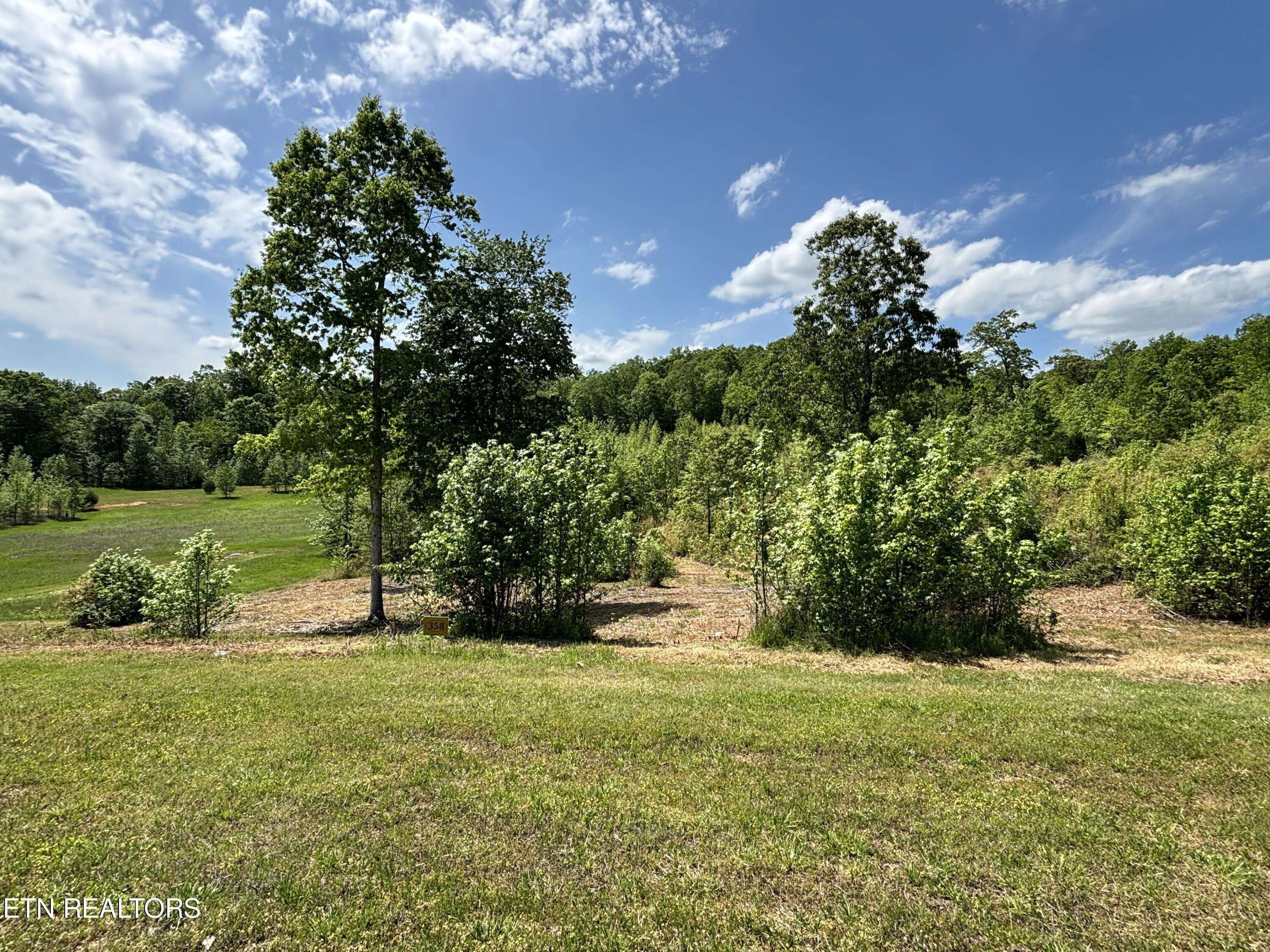 Rockwood, TN 37854,410 Water View DR