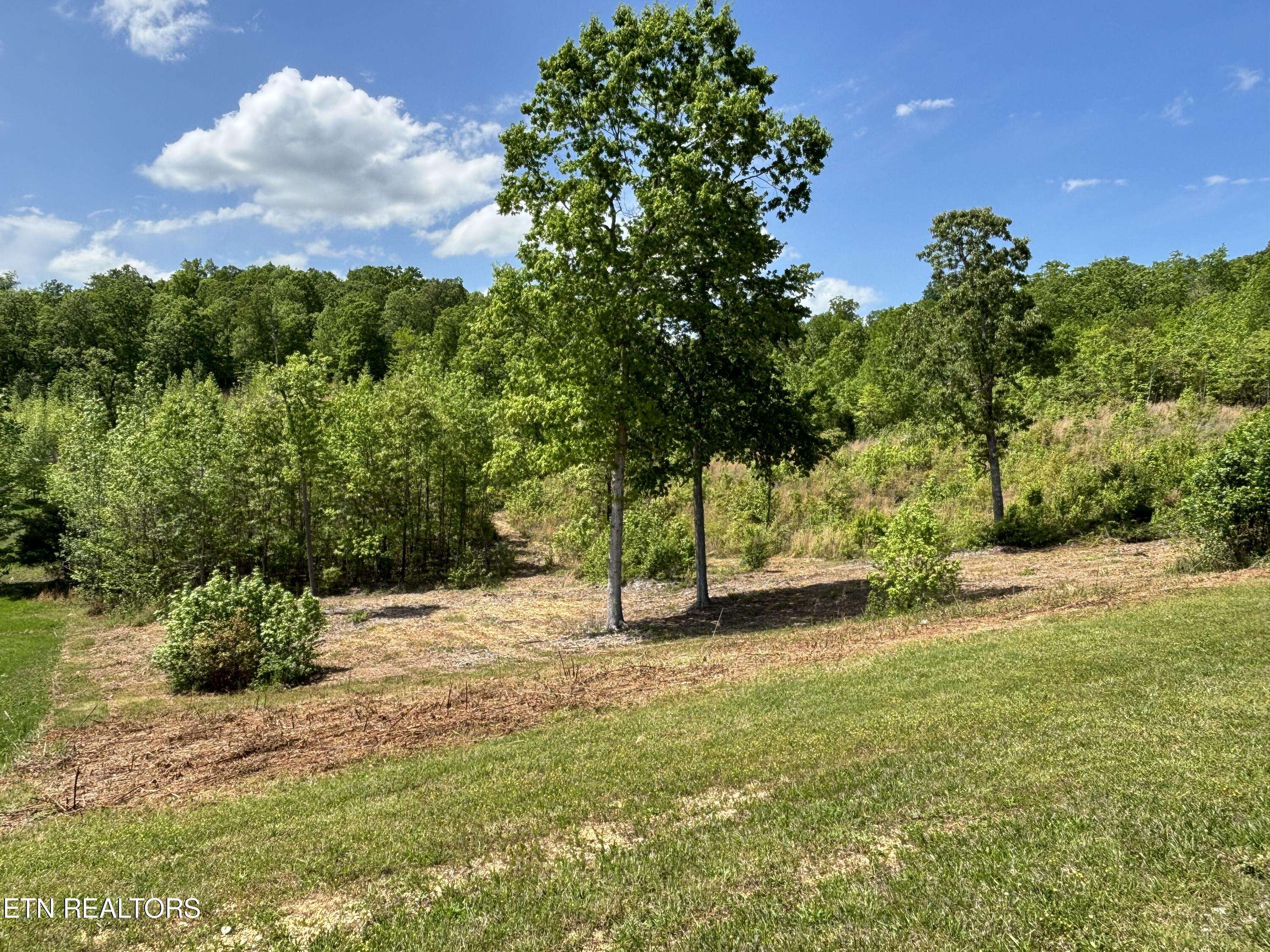 Rockwood, TN 37854,410 Water View DR