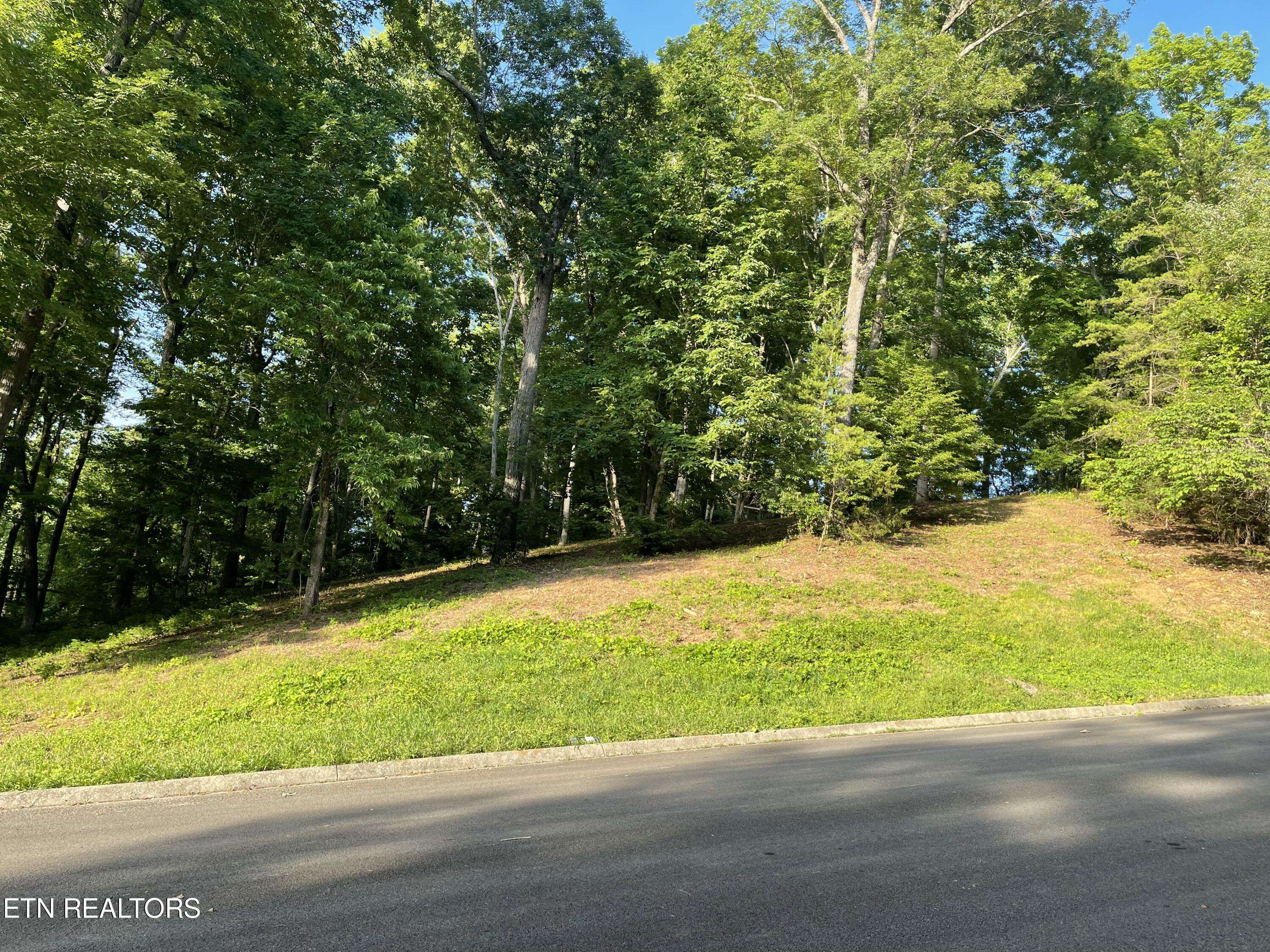 Clinton, TN 37716,Lot 39 Apple Tree DR