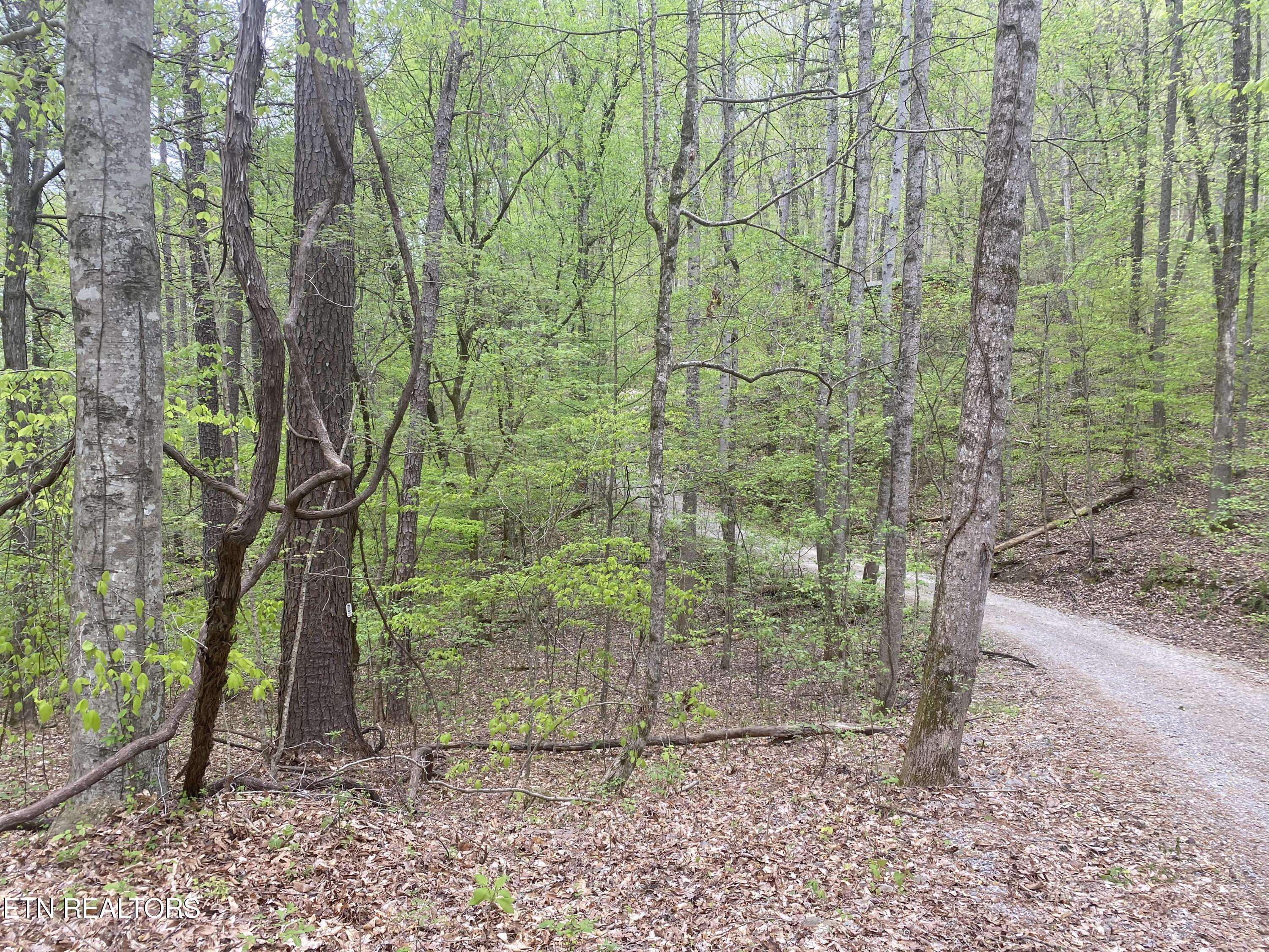 Maynardville, TN 37807,LOT#4,5&6 LAKEWOOD RD