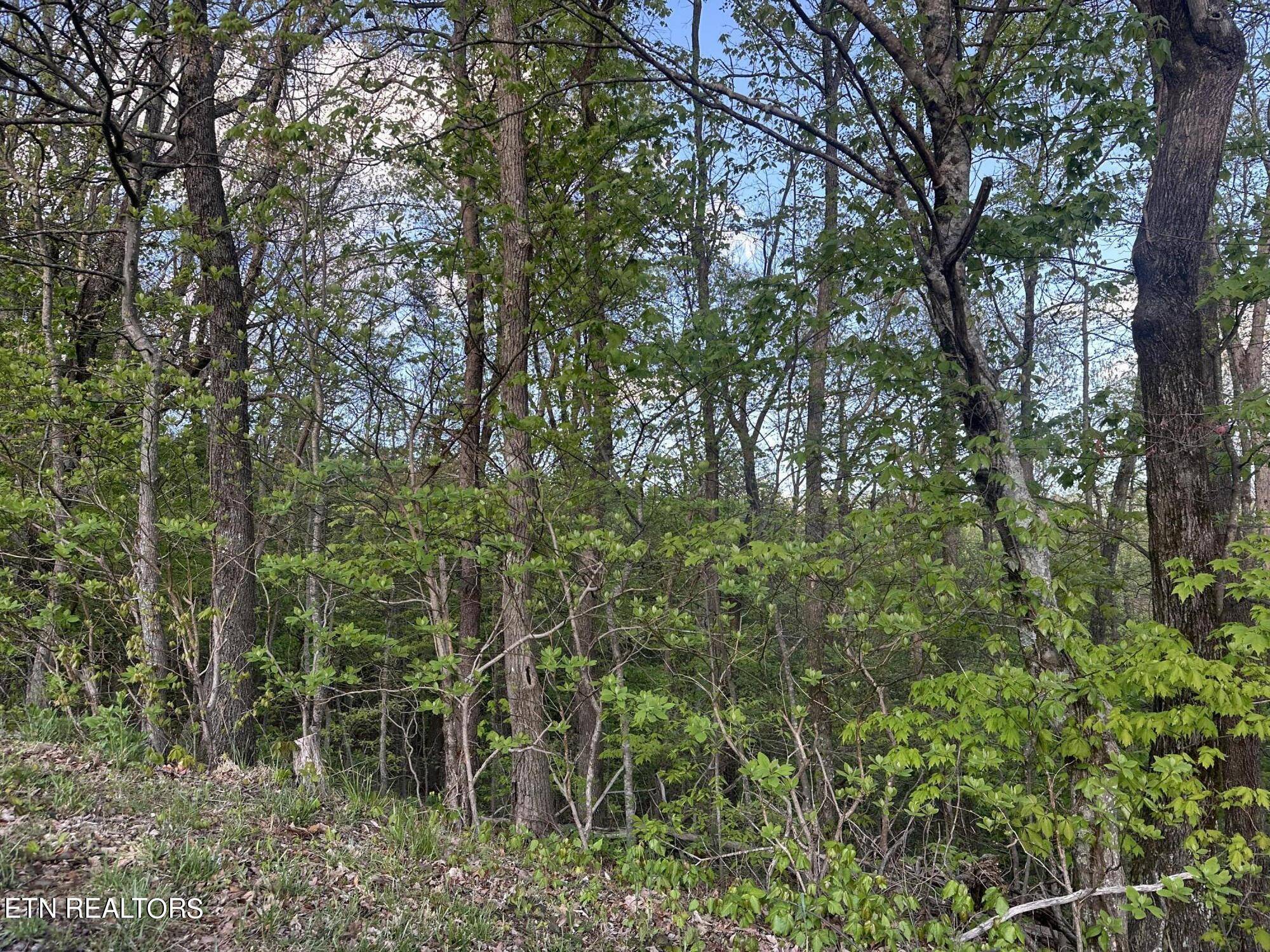 Crab Orchard, TN 37723,Hickory Tr