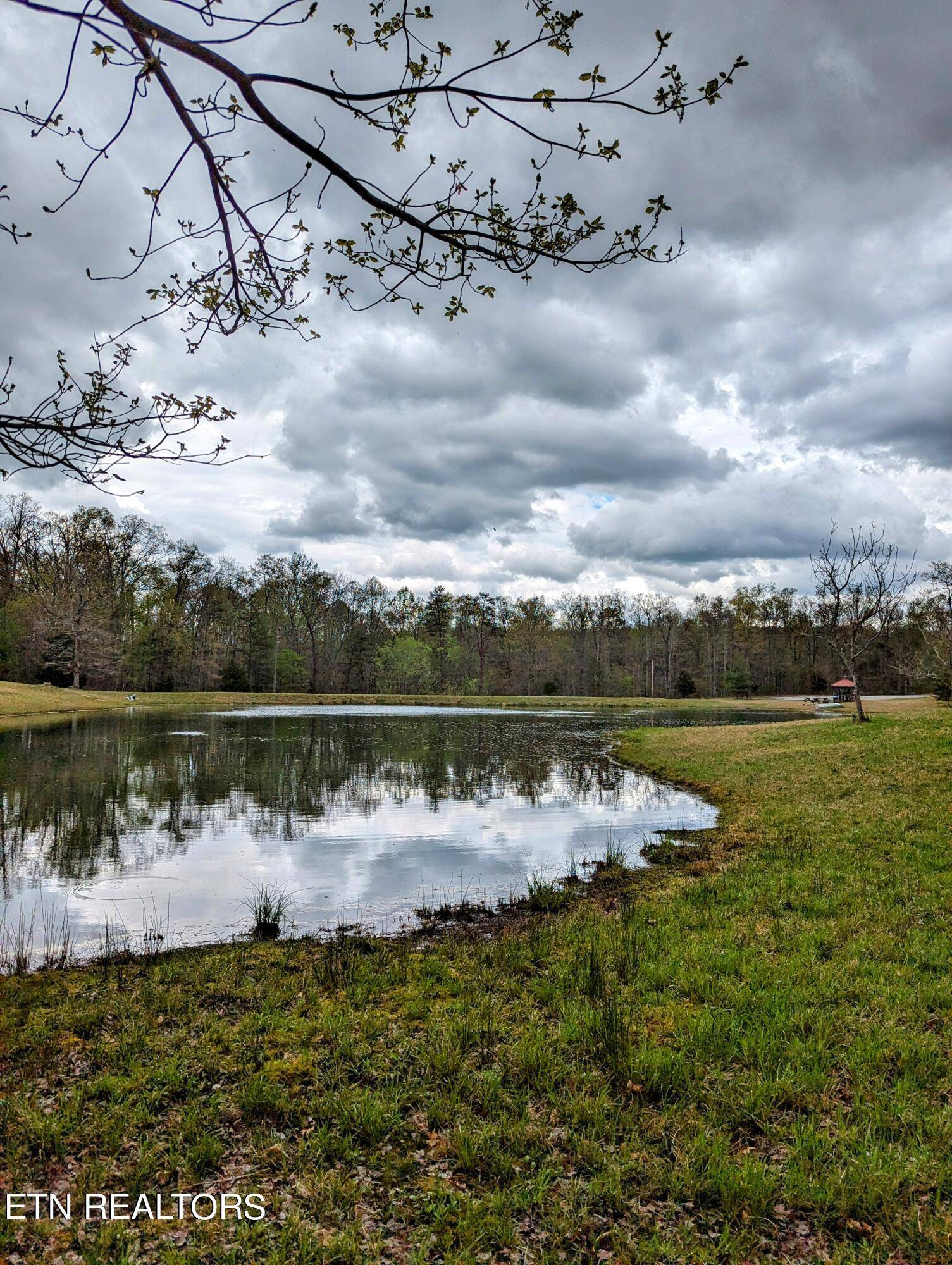 Spencer, TN 38585,Lot 762 Surrey Lane