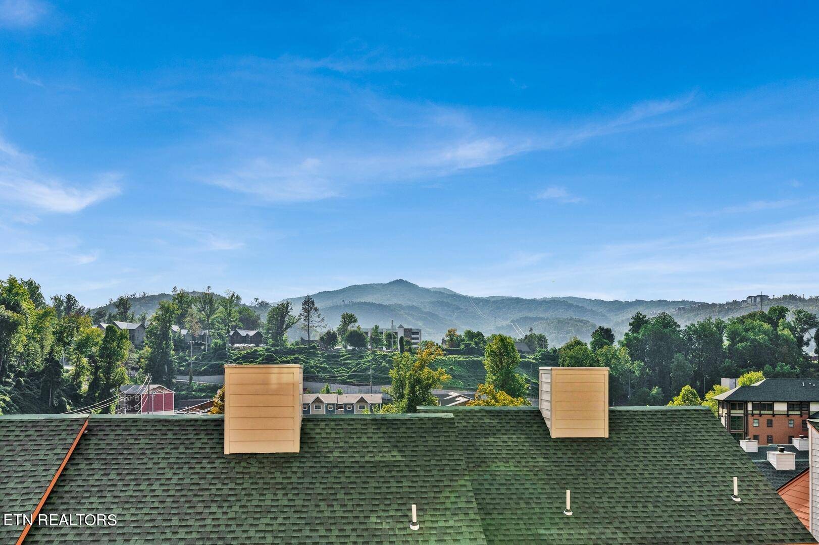 Gatlinburg, TN 37738,413 Baskins Creek #403 Rd #UNIT 403